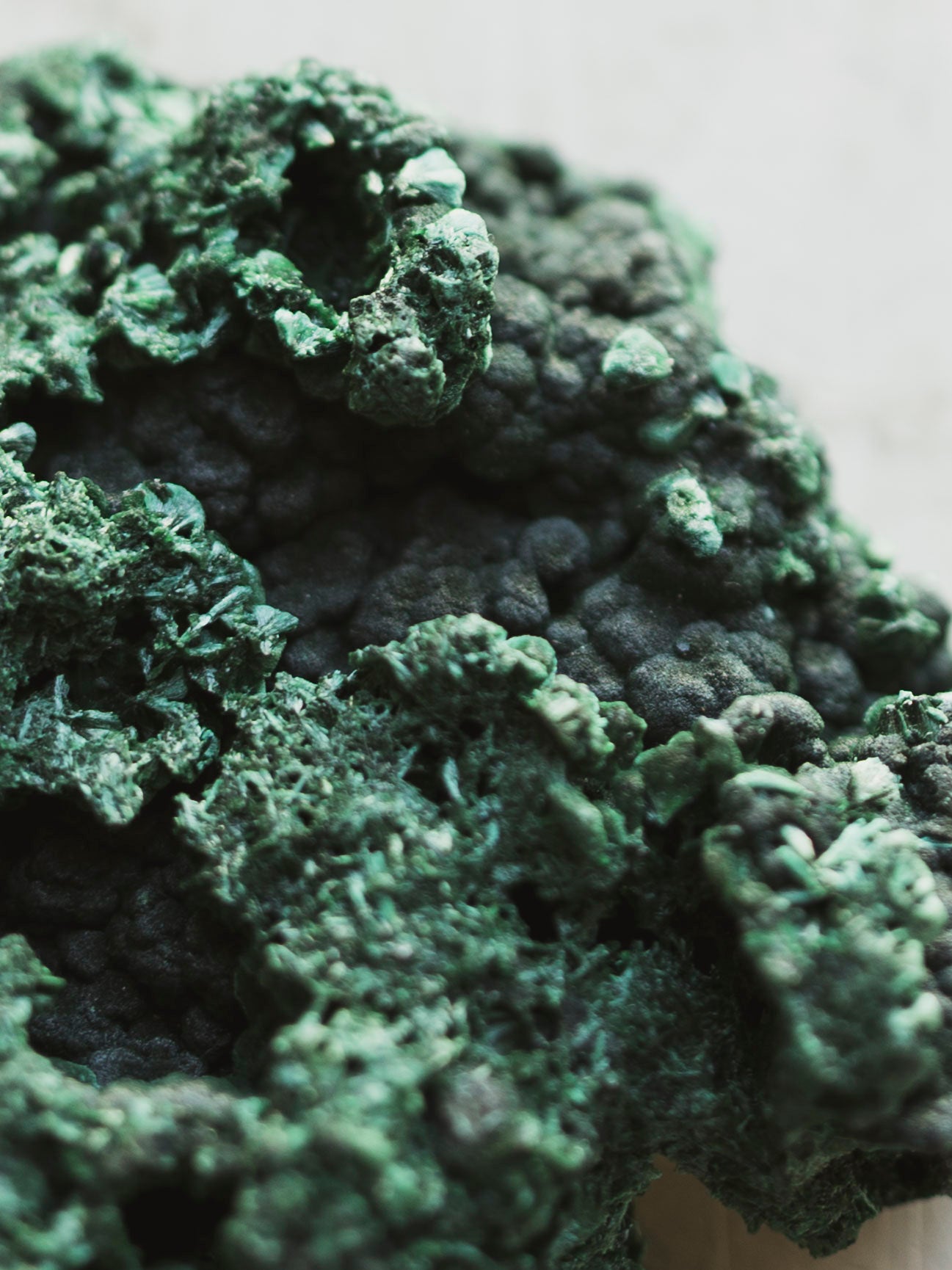 Velvet Malachite, RM1260