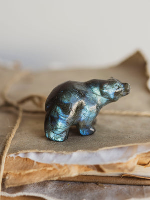 Carved Labradorite Bear, RM3