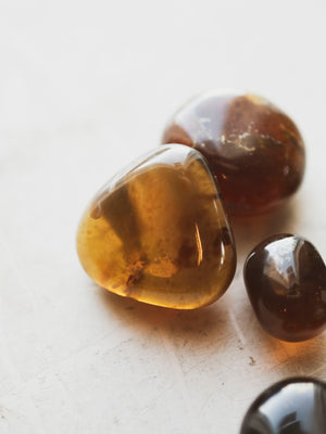 Polished Brown Amber, RM540