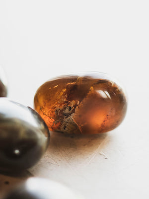 Polished Brown Amber, RM540