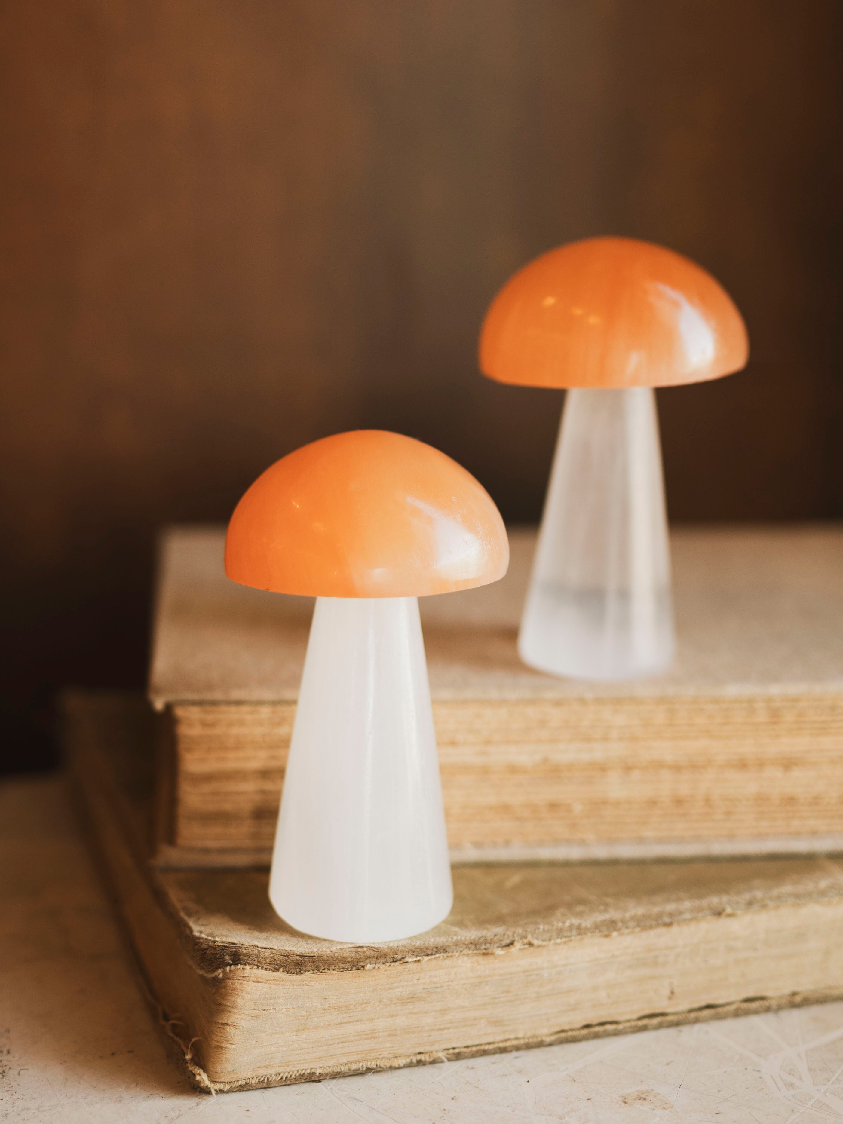 Orange and White Selenite Mushroom, RM621