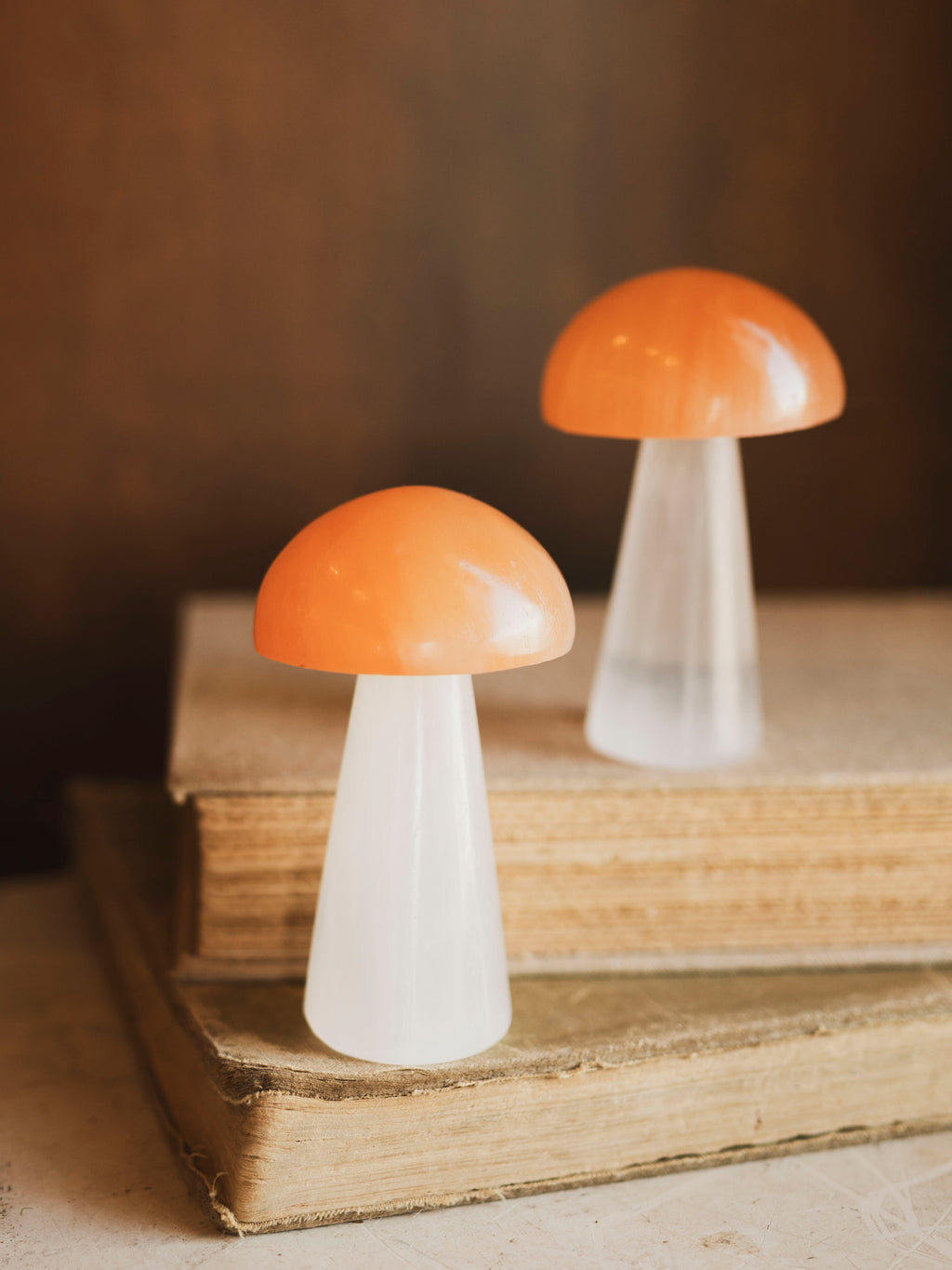Orange and White Selenite Mushroom, RM621