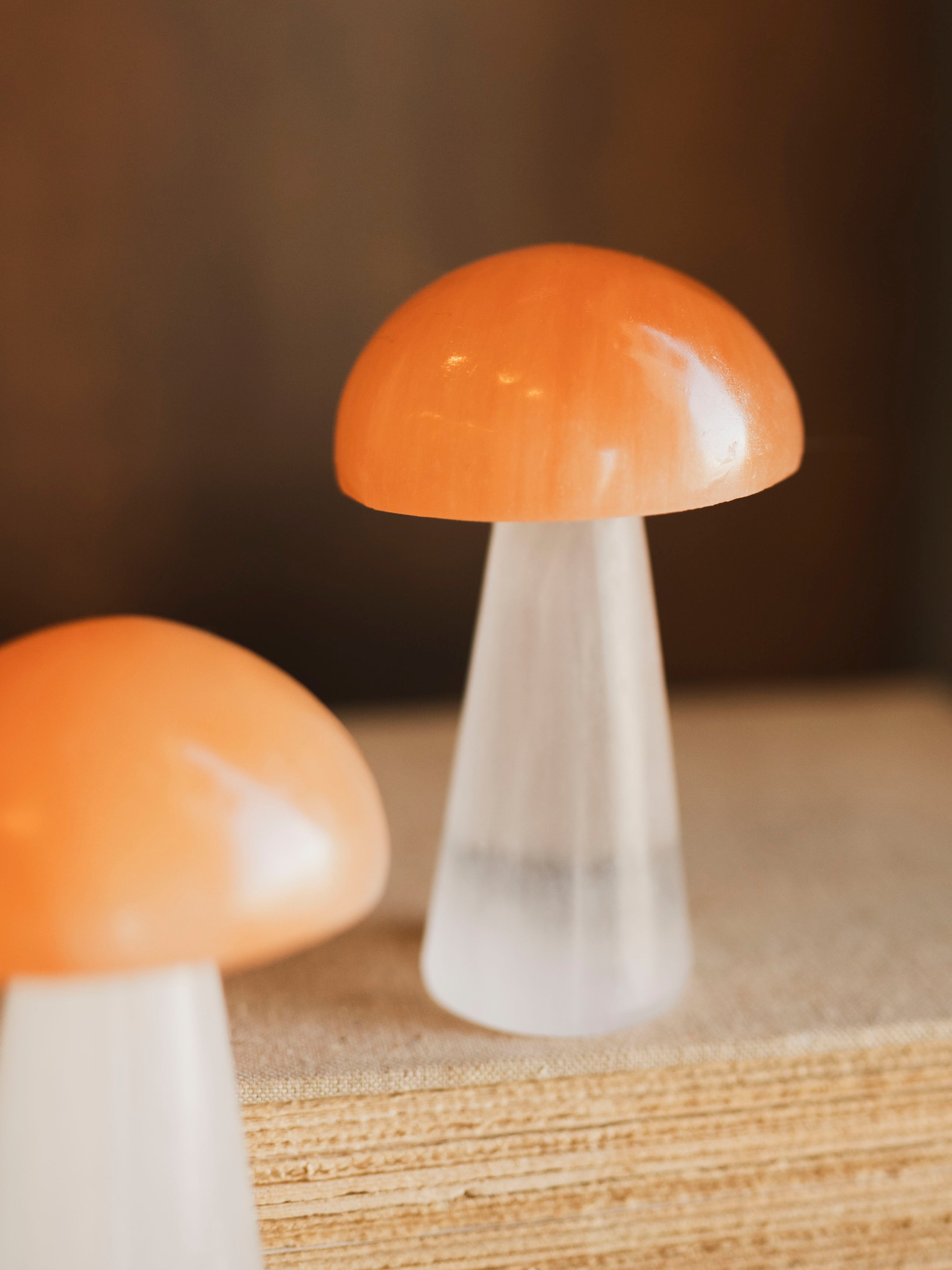 Orange and White Selenite Mushroom, RM621