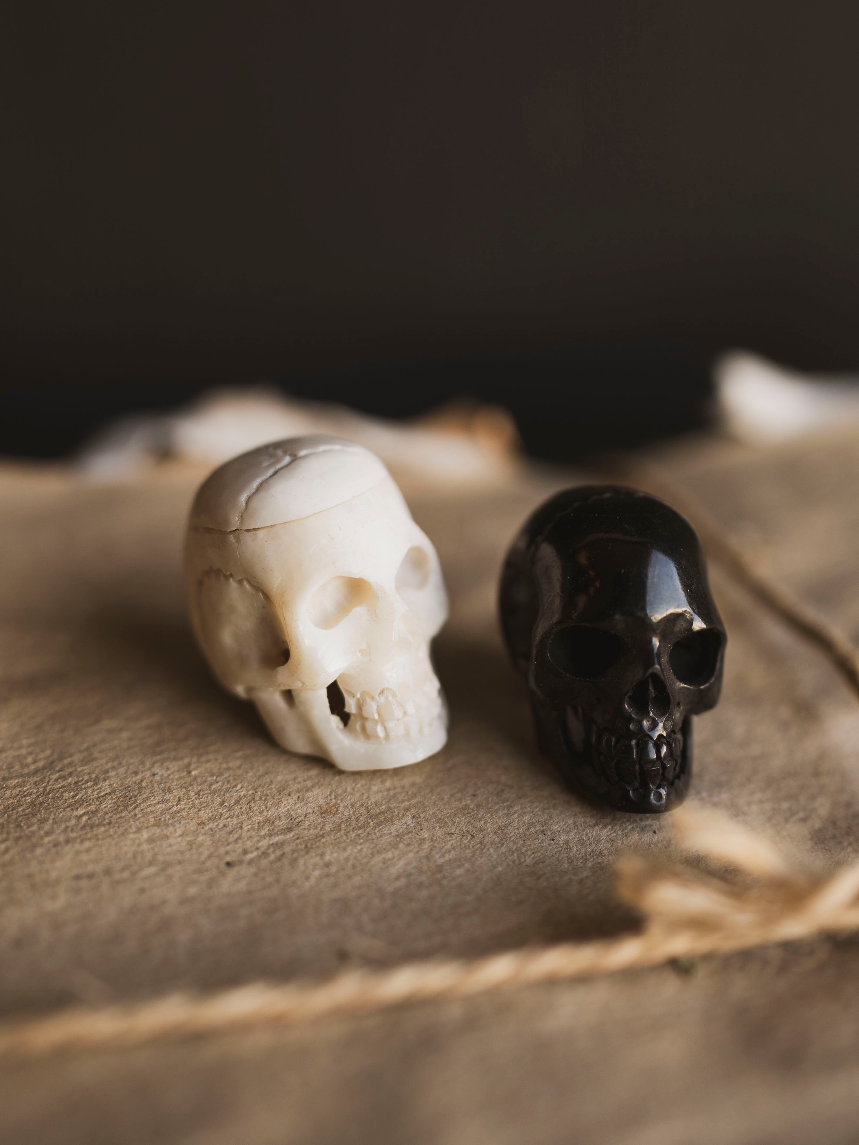 Carved Bone Skull, SB1200