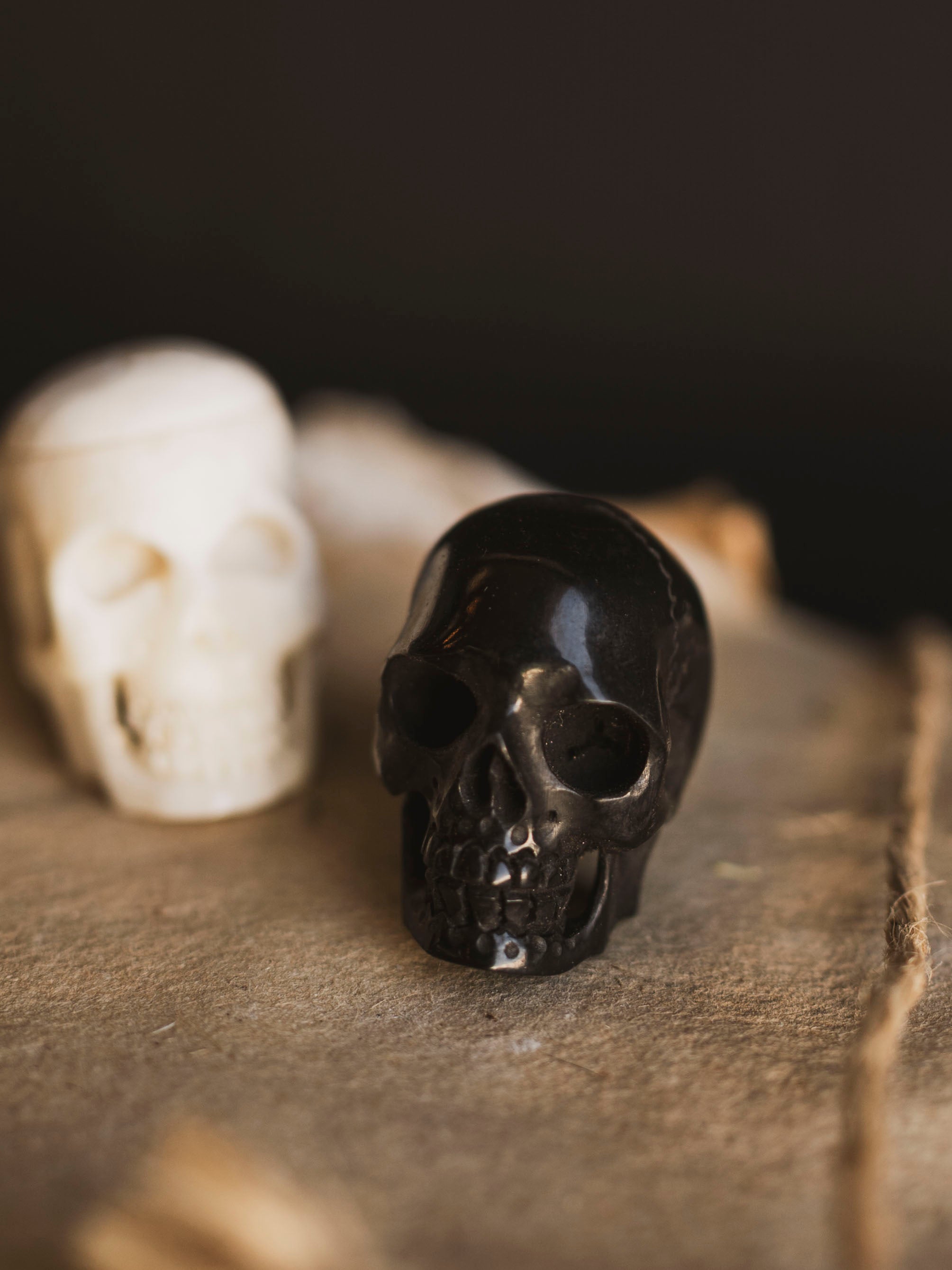 Carved Bone Skull, SB1200