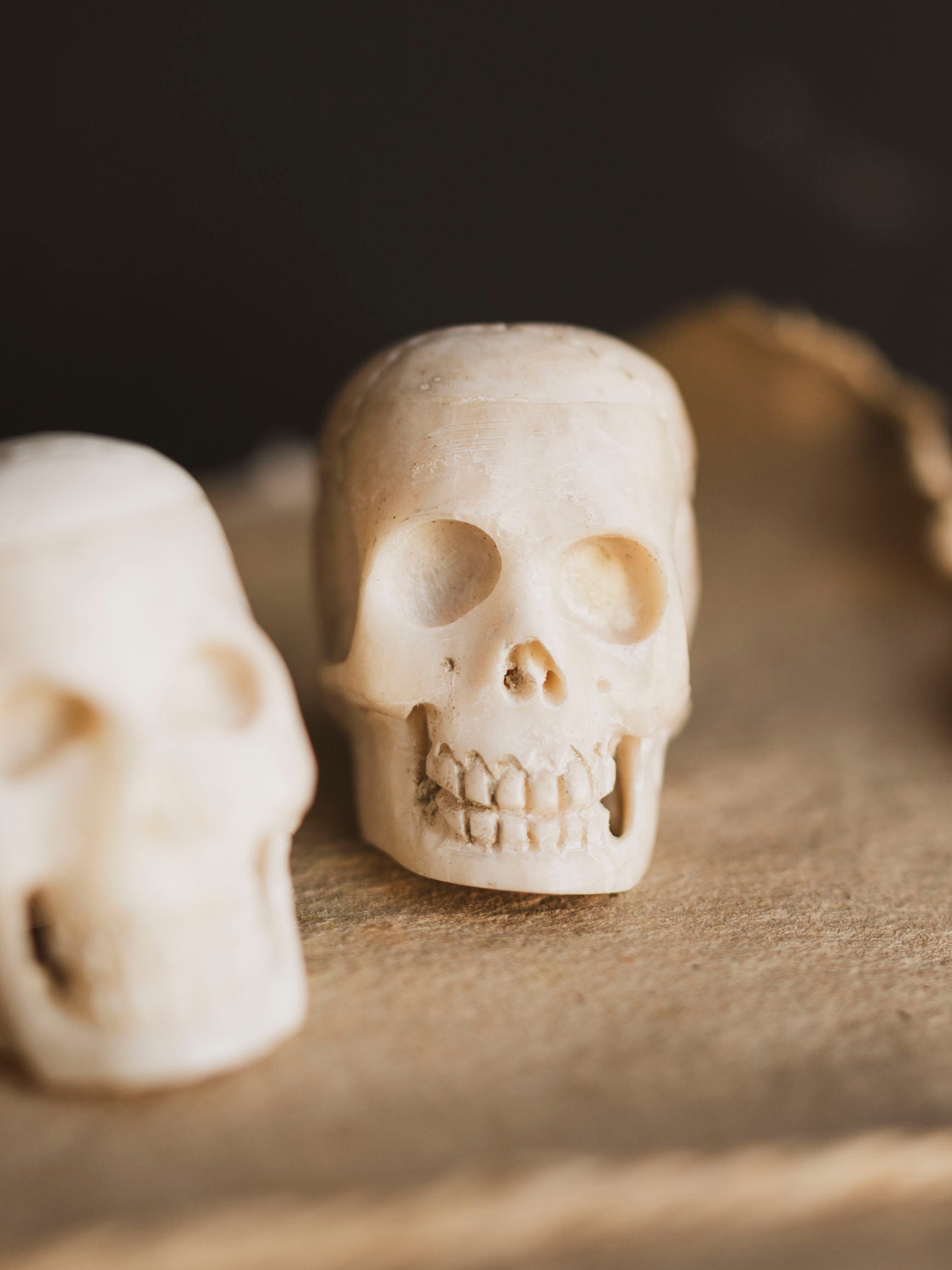 Carved Bone Skull, SB1200