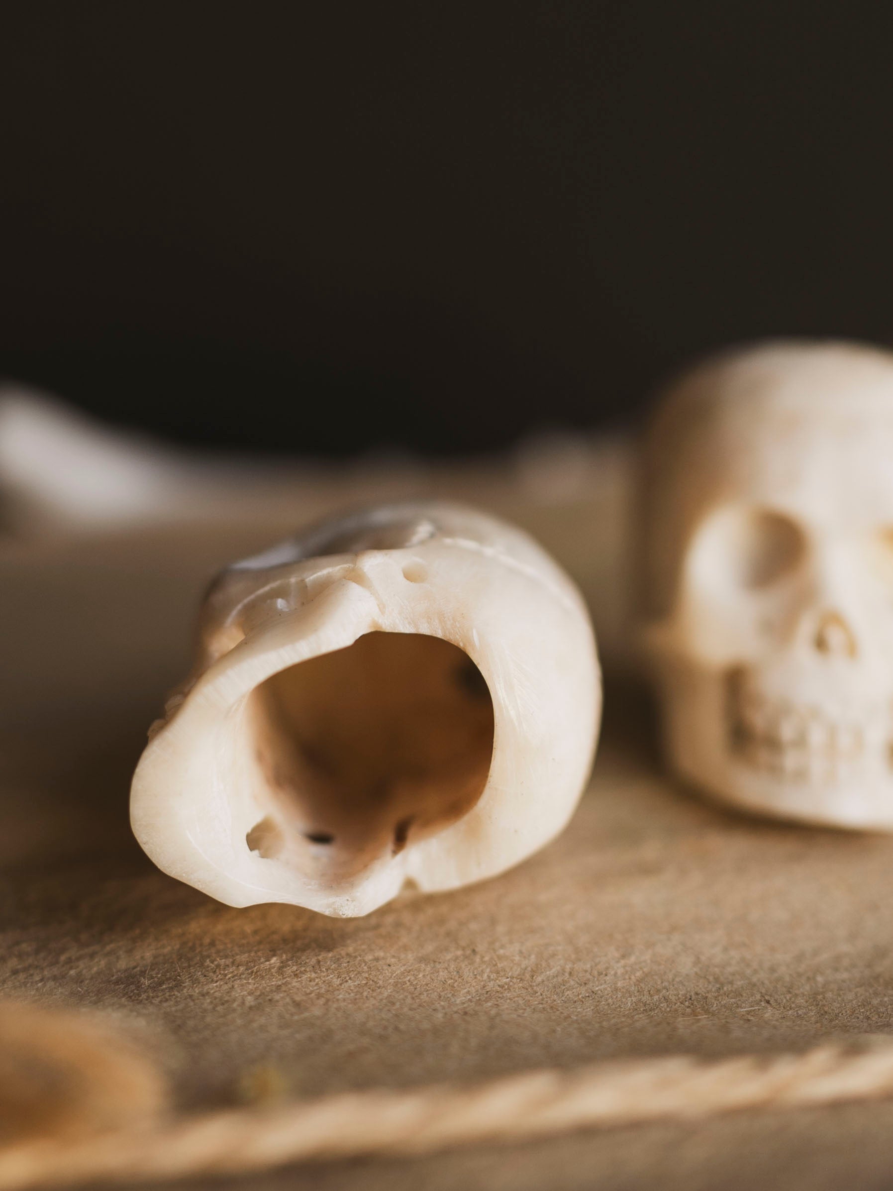 Carved Bone Skull, SB1200
