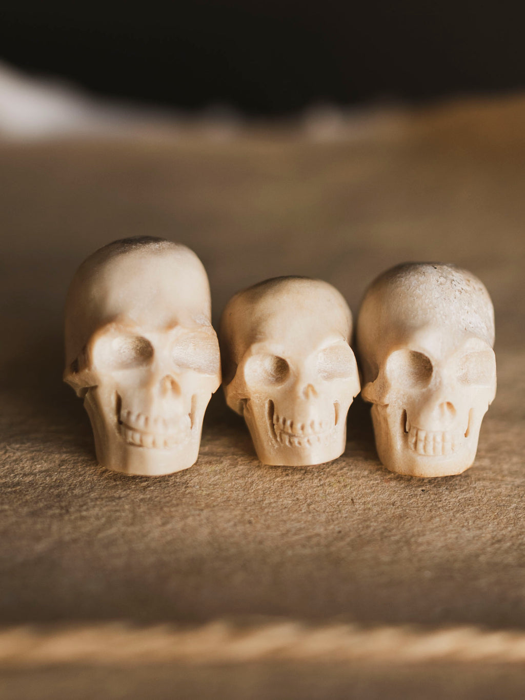 Carved Bone Skull, SB1200