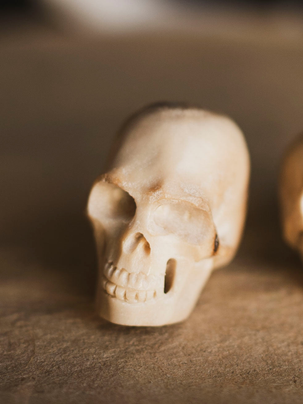 Carved Bone Skull, SB1200