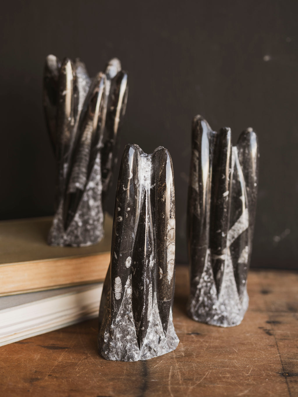 Assorted Orthoceras Tower, RM635