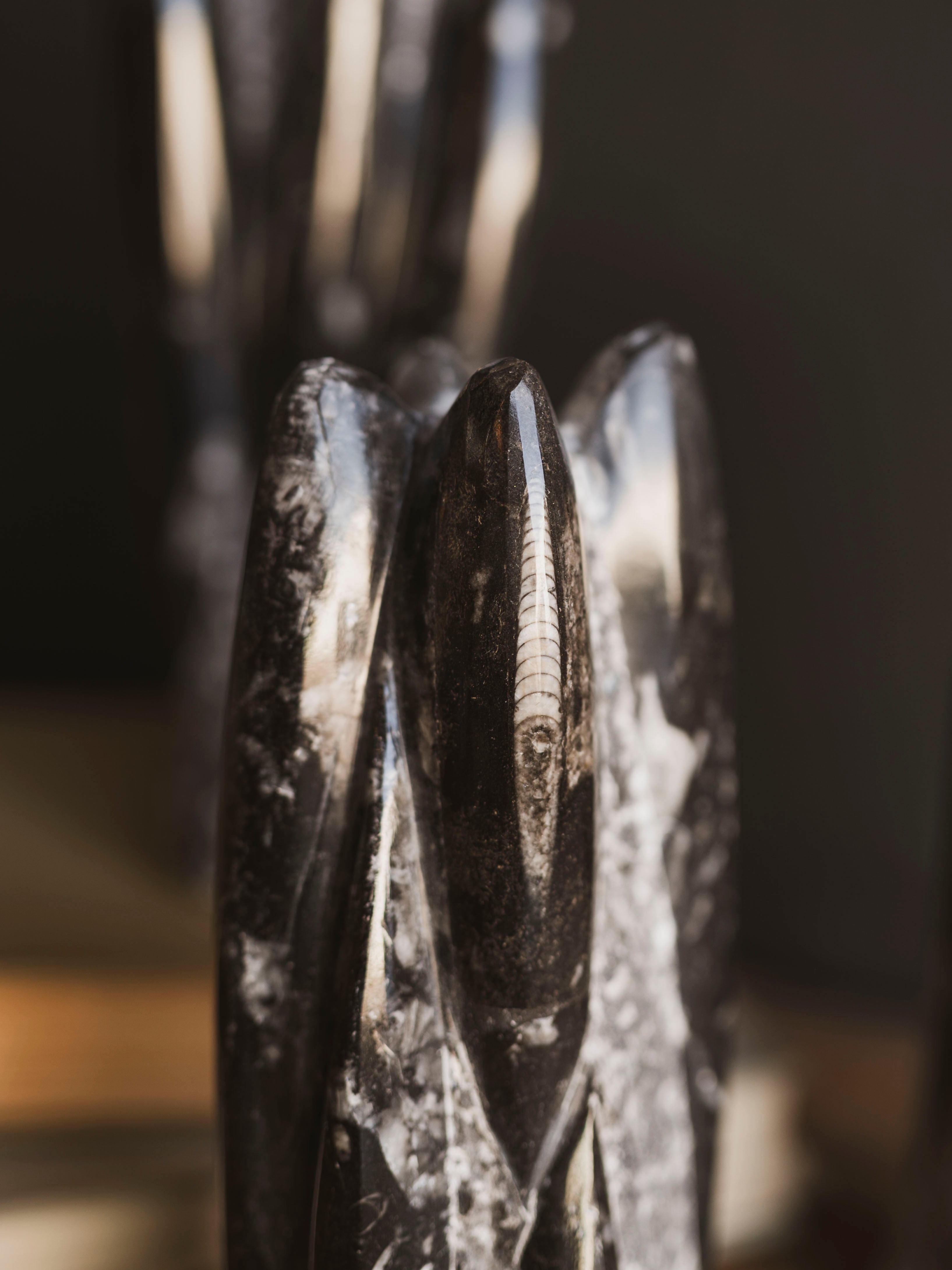 Assorted Orthoceras Tower, RM635