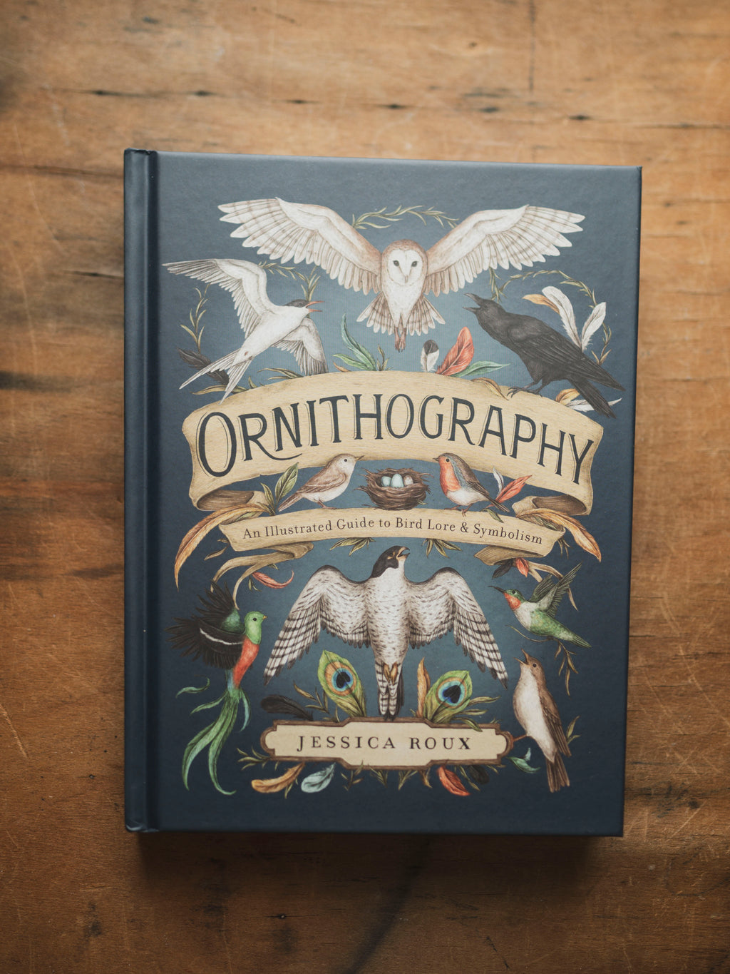 Ornithography, BO240