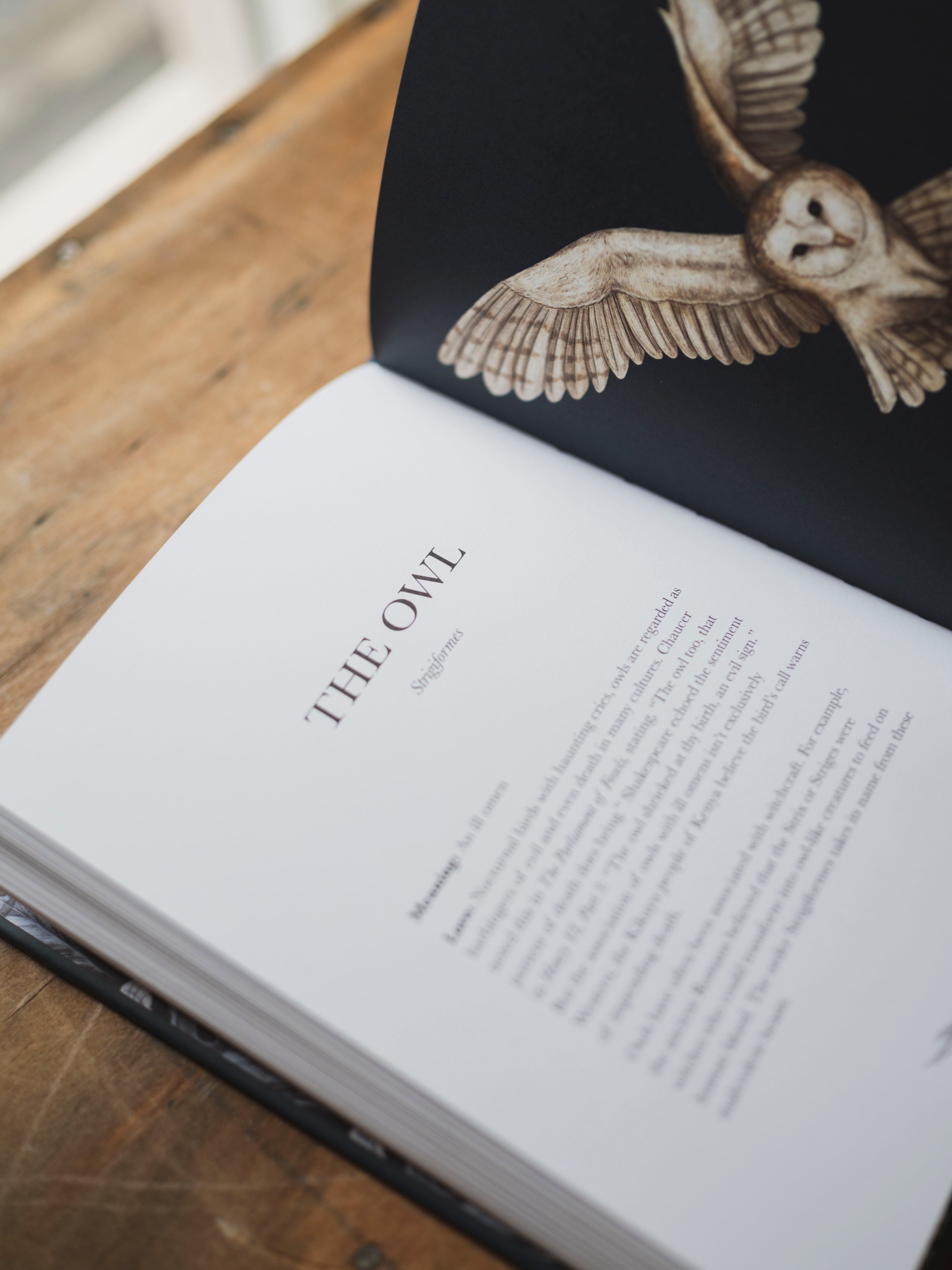 Ornithography, BO240