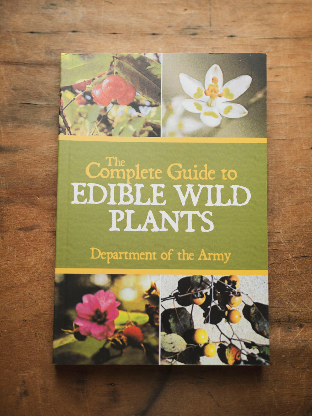 The Complete Guide to Edible Wild Plants, BO244