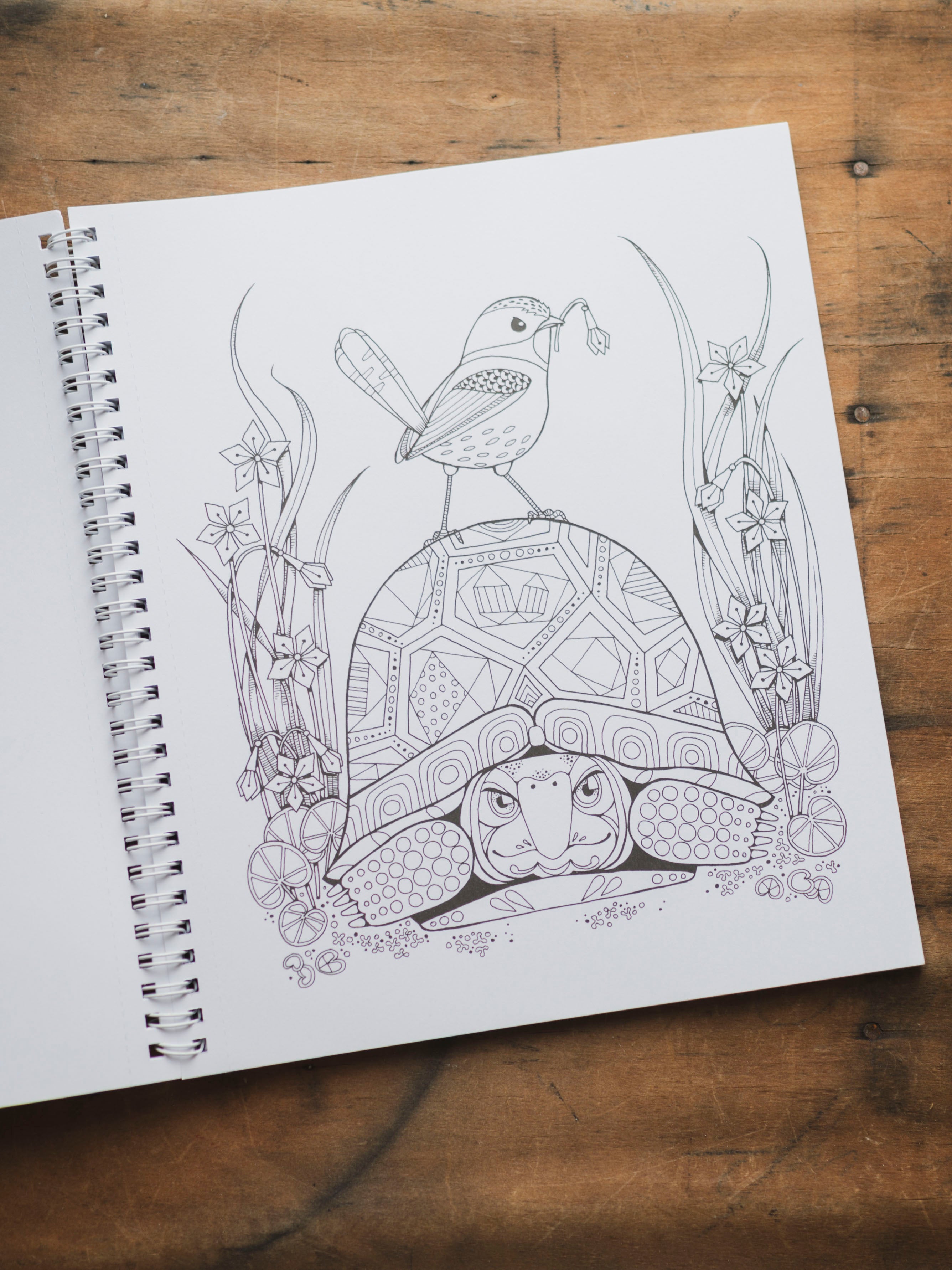 In the Forest: Coloring Book, BO243