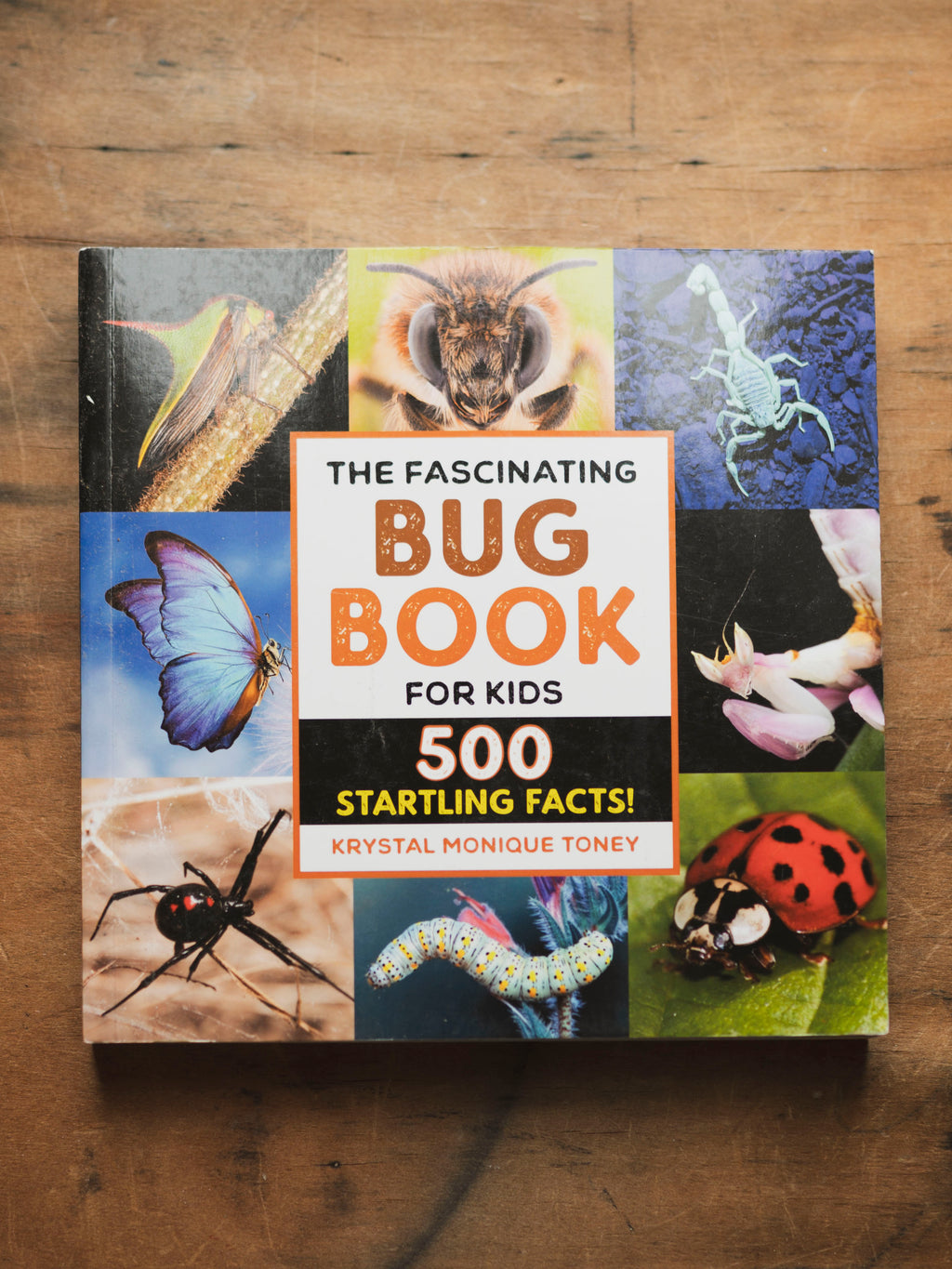 The Fascinating Bug Book, BO234