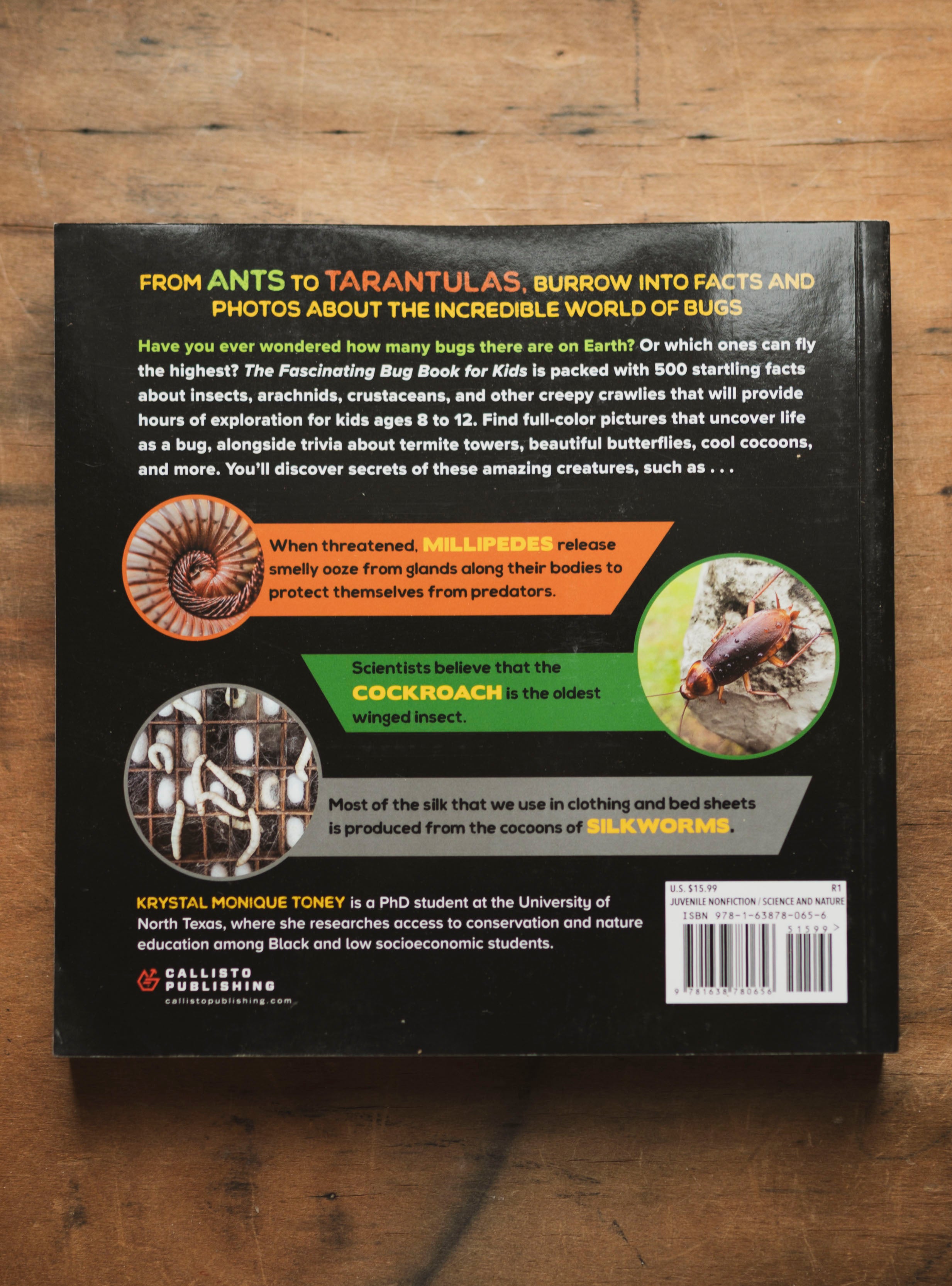 The Fascinating Bug Book, BO234