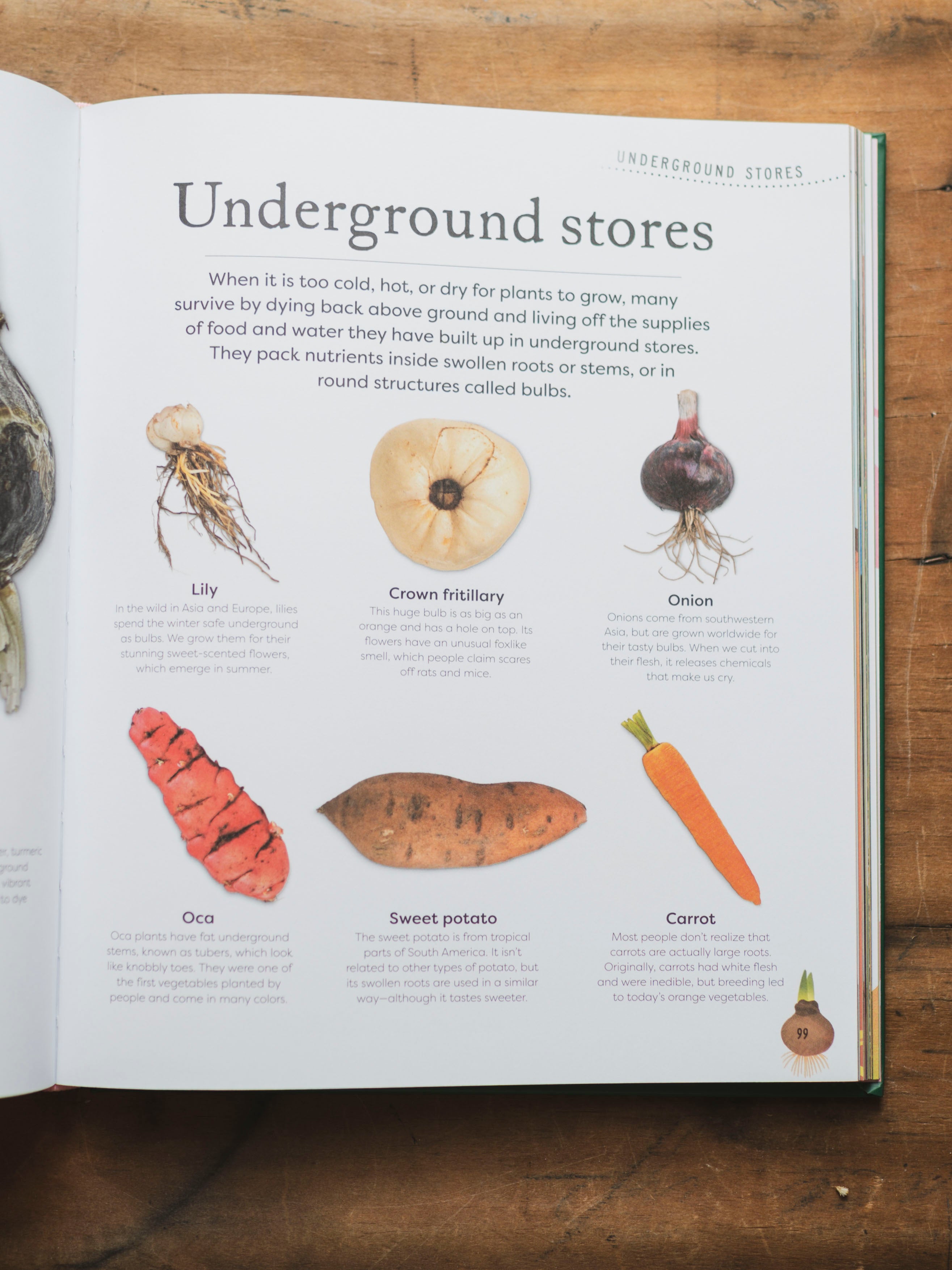 The Secret World of Plants, BO241