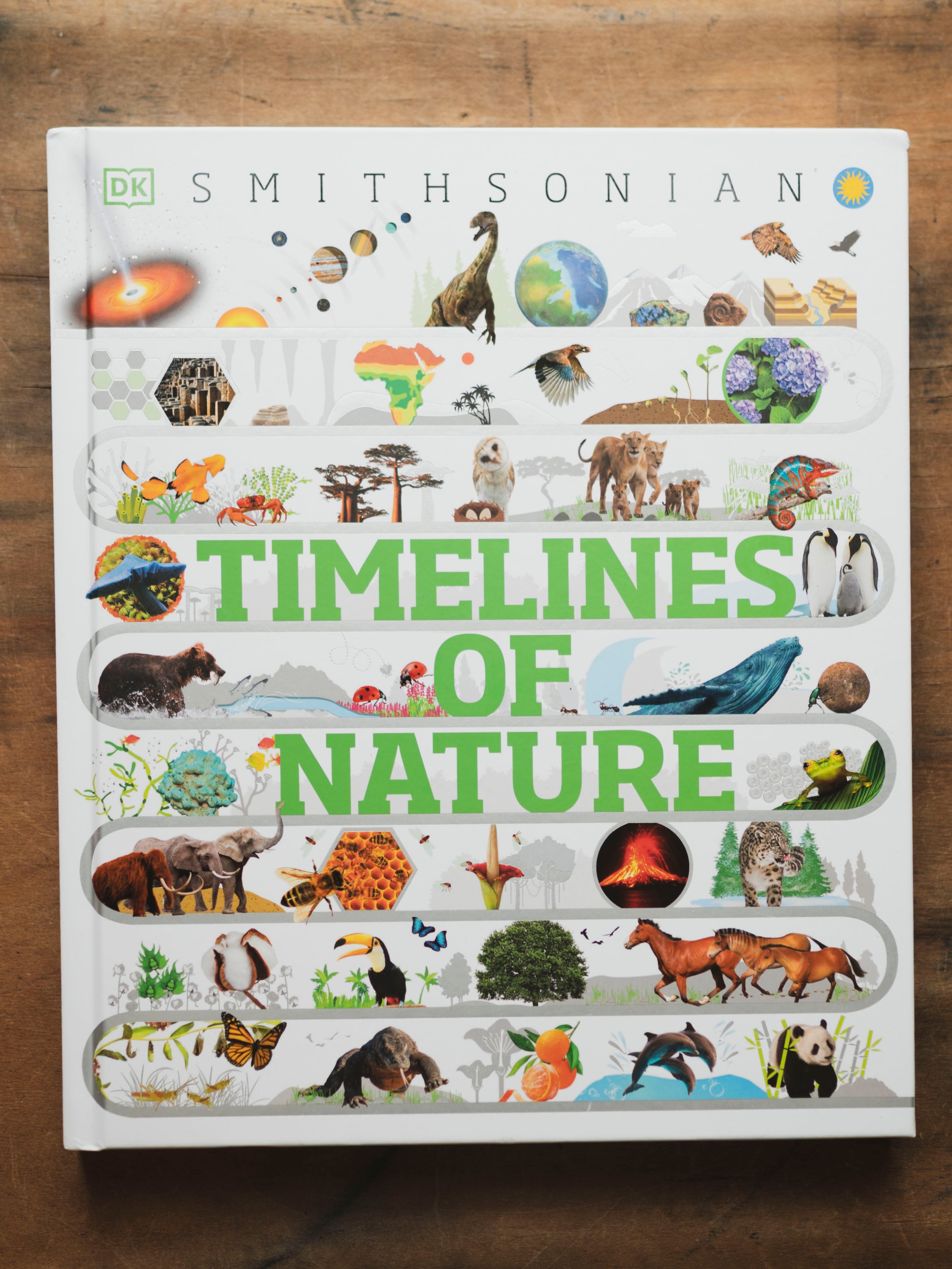 Timelines of Nature, BO237