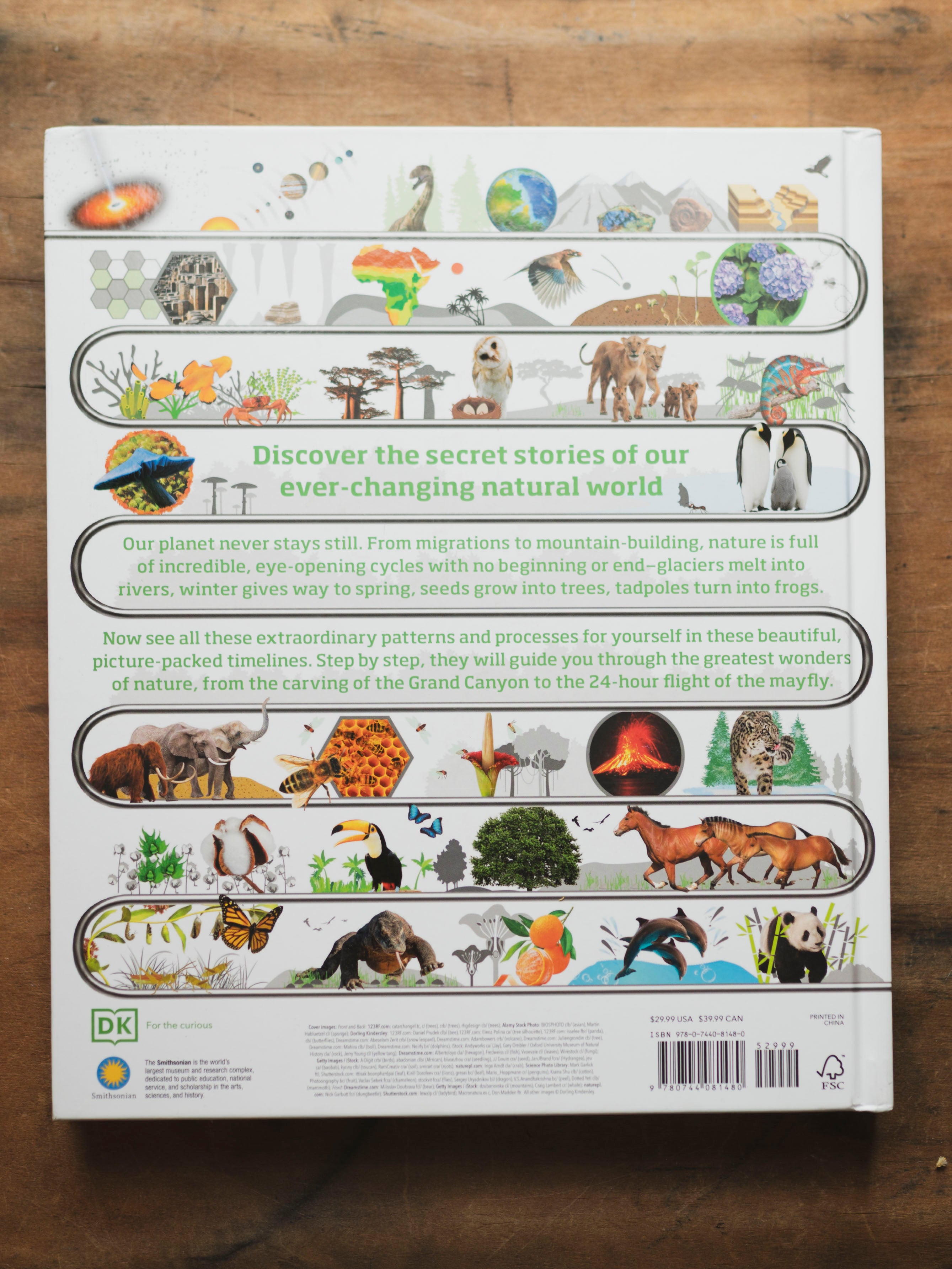 Timelines of Nature, BO237