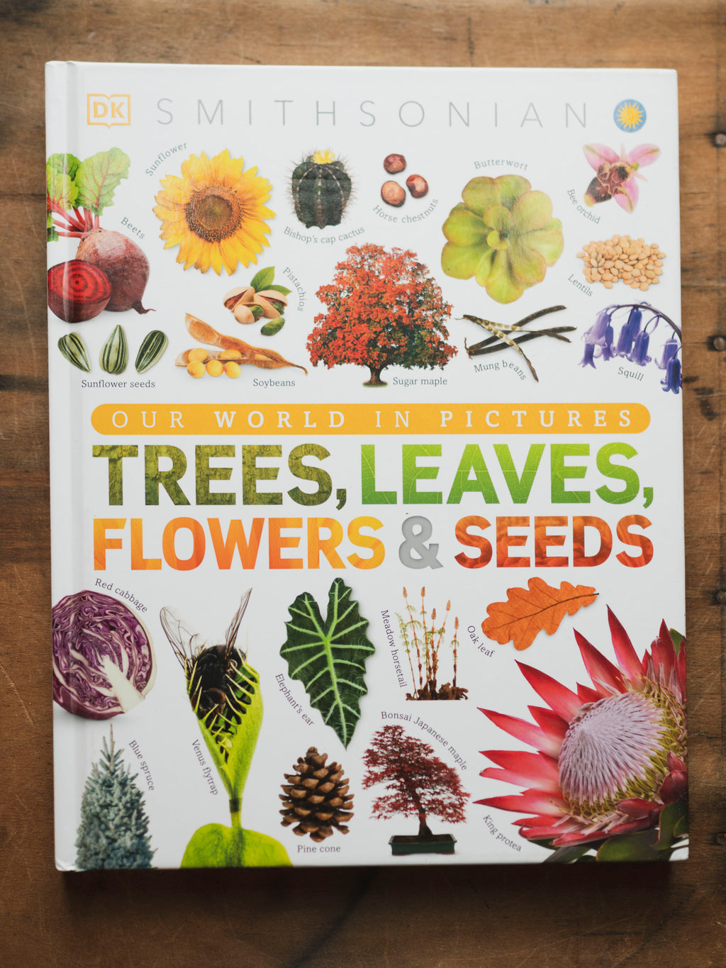 Trees, Leaves, Flowers and Seeds, BO233