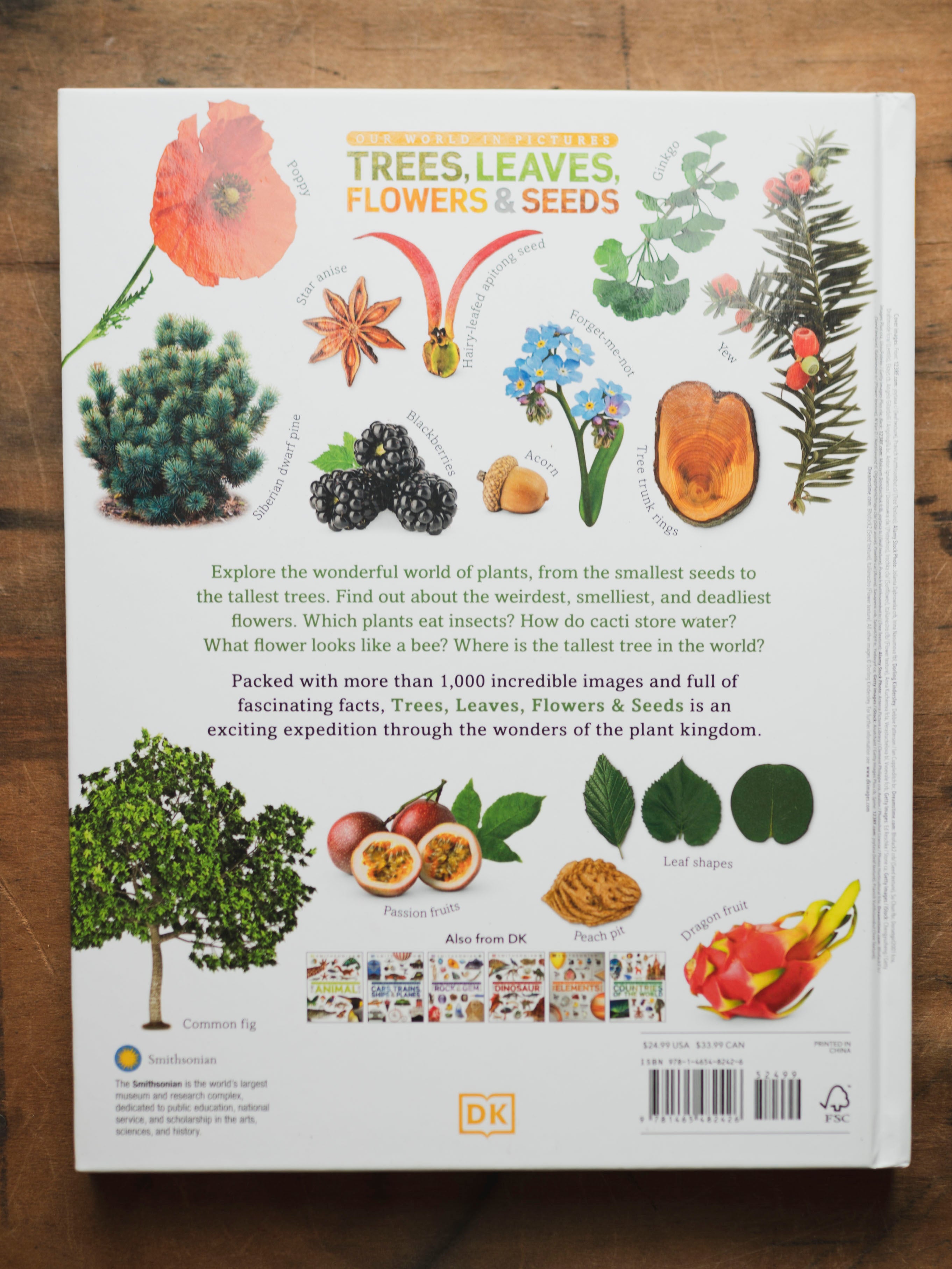 Trees, Leaves, Flowers and Seeds, BO233