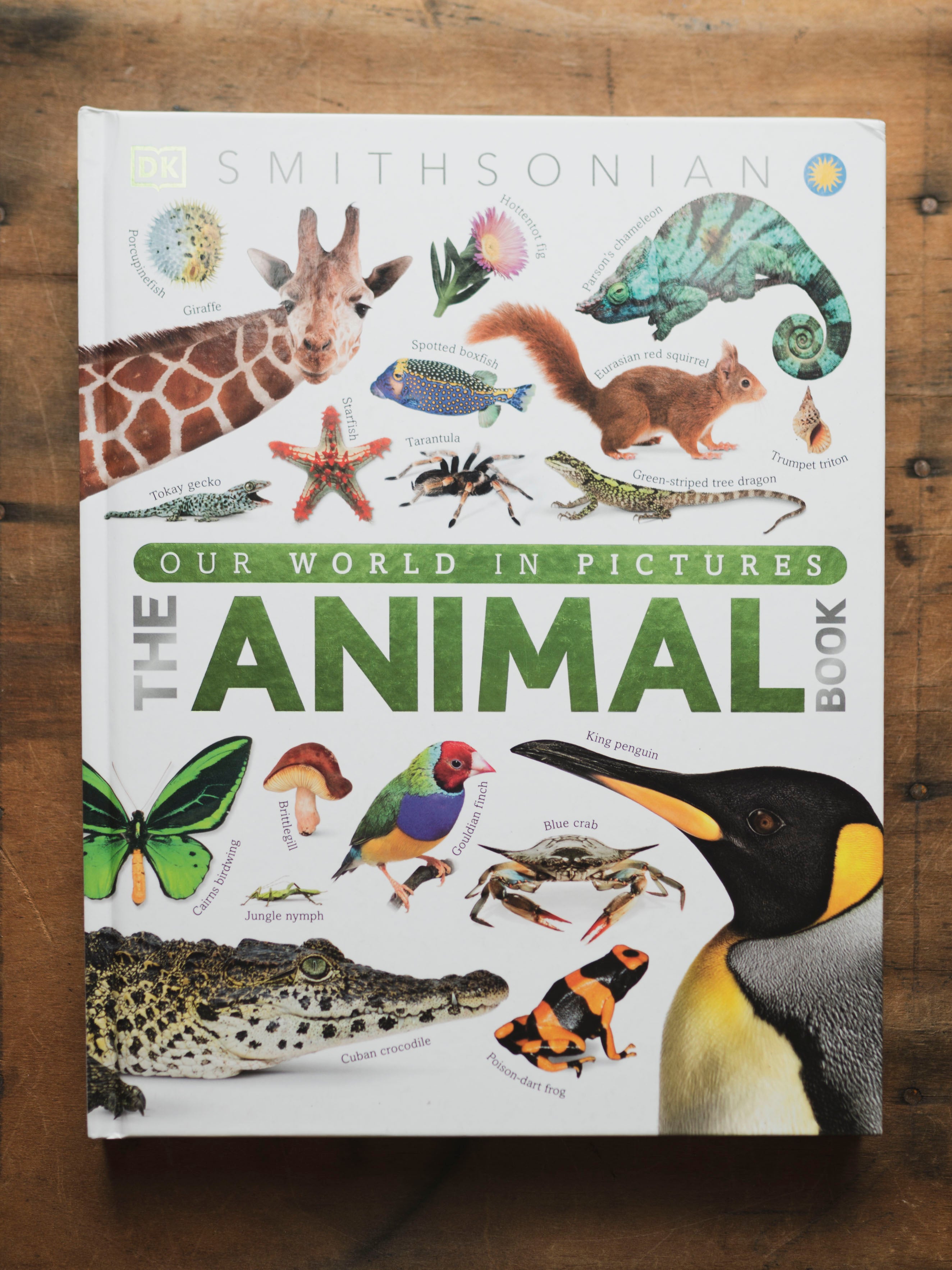The Animal Book, BO238