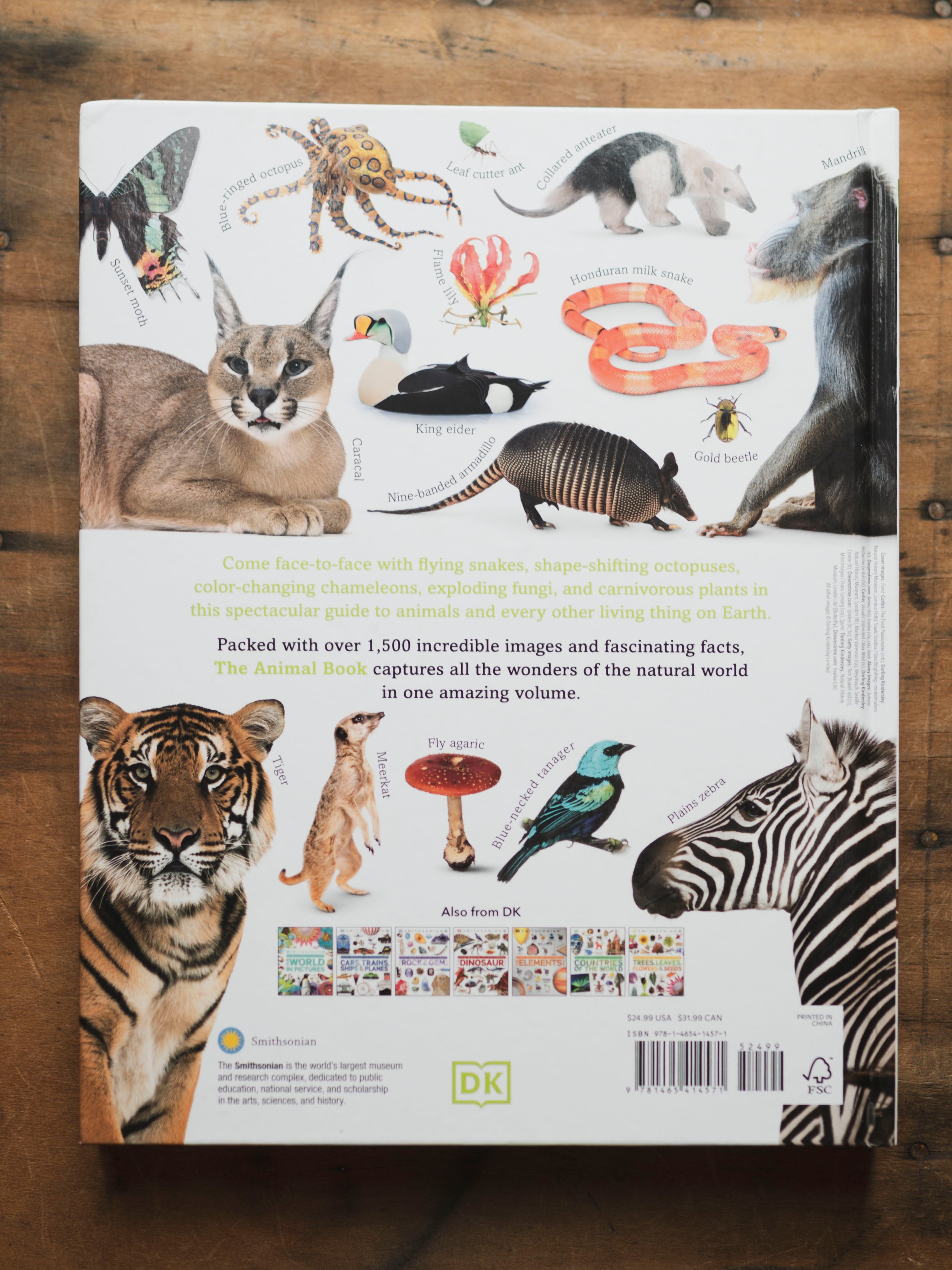 The Animal Book, BO238