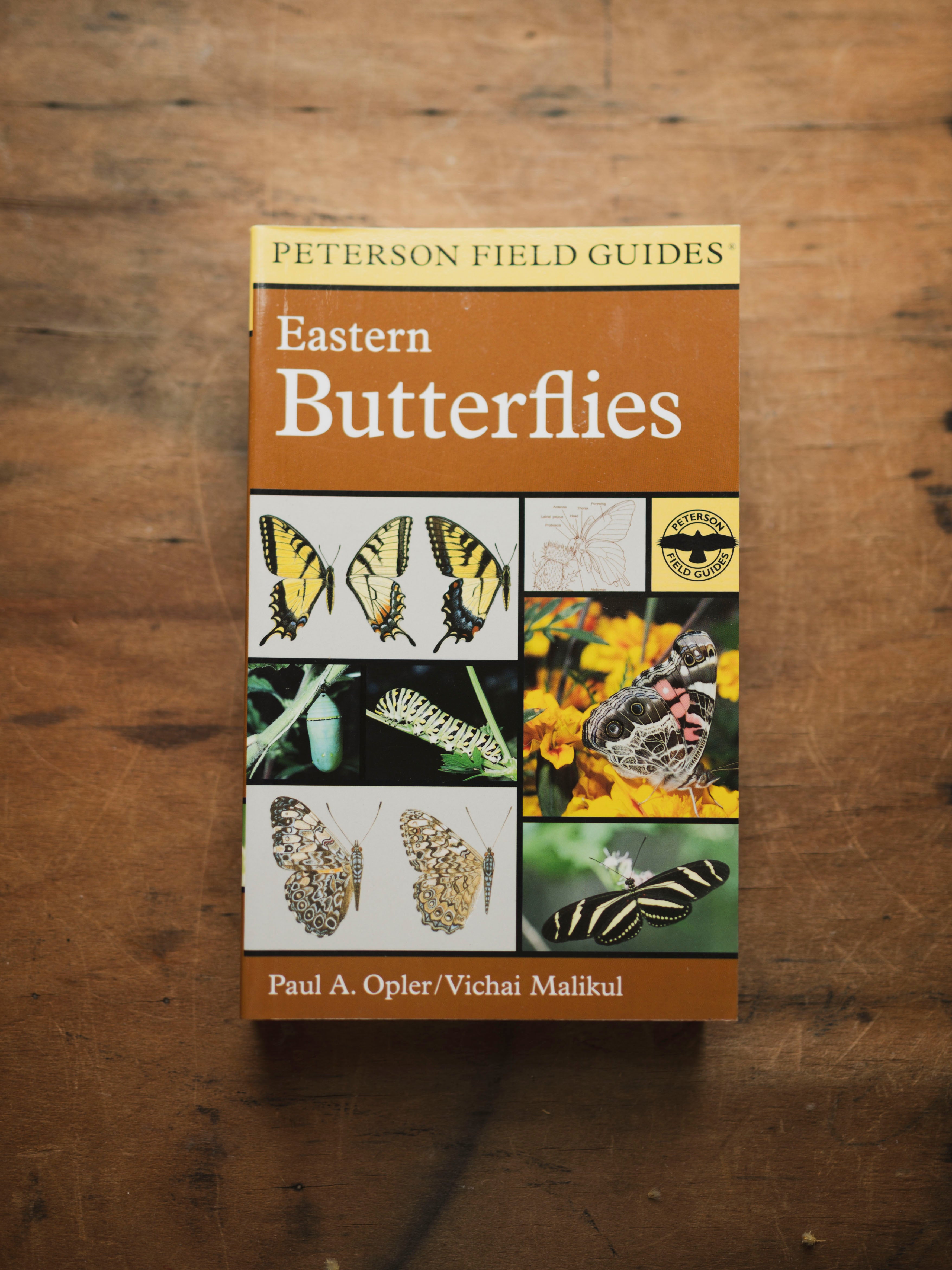 Peterson Field Guide: Eastern Butterflies, BO245