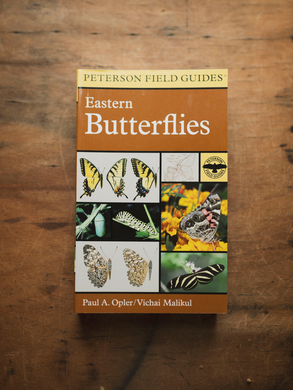 Peterson Field Guide: Eastern Butterflies, BO245