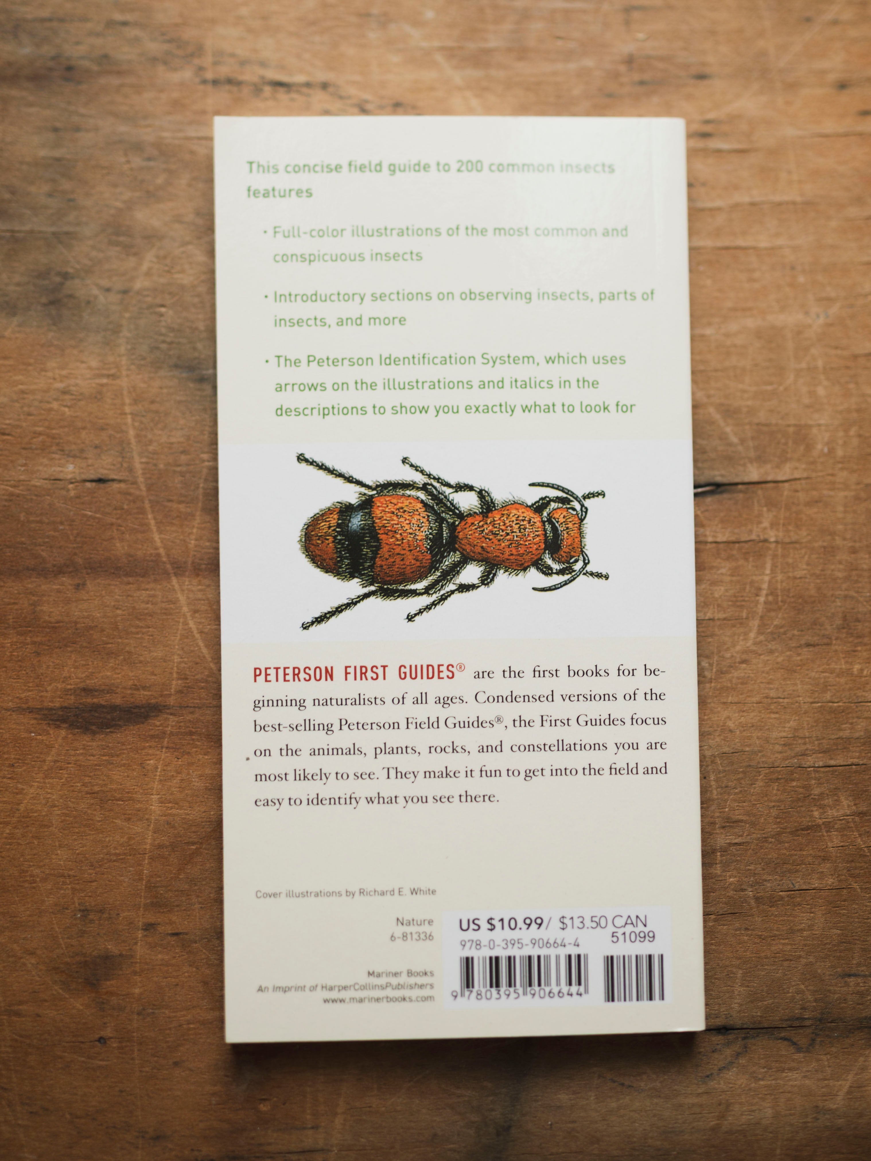 Peterson Guide to Insects of North America, BO246