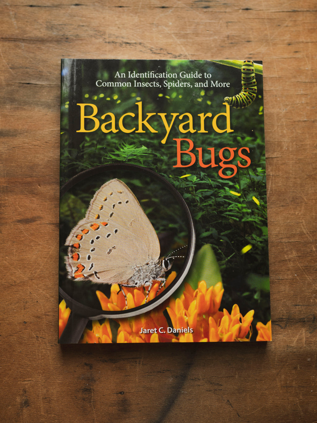 Backyard Bugs, BO203