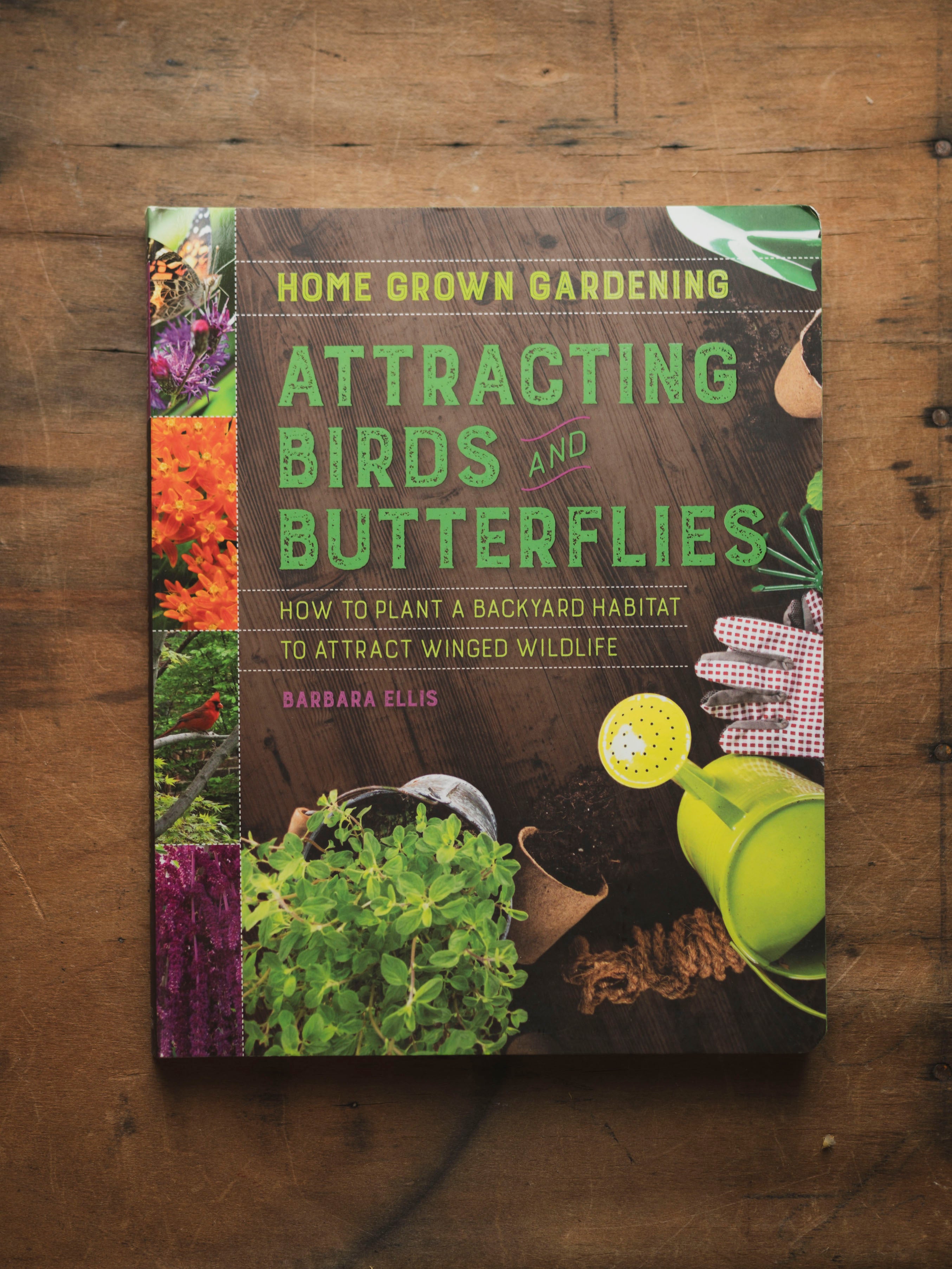 Attracting Birds and Butterflies, BO247