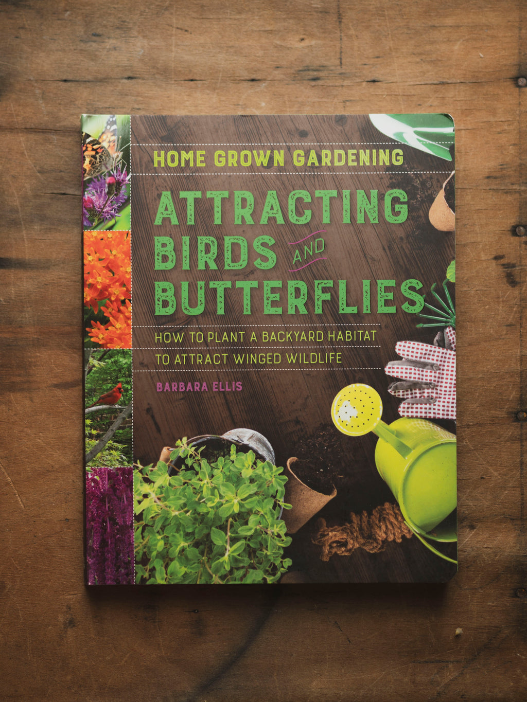 Attracting Birds and Butterflies, BO247