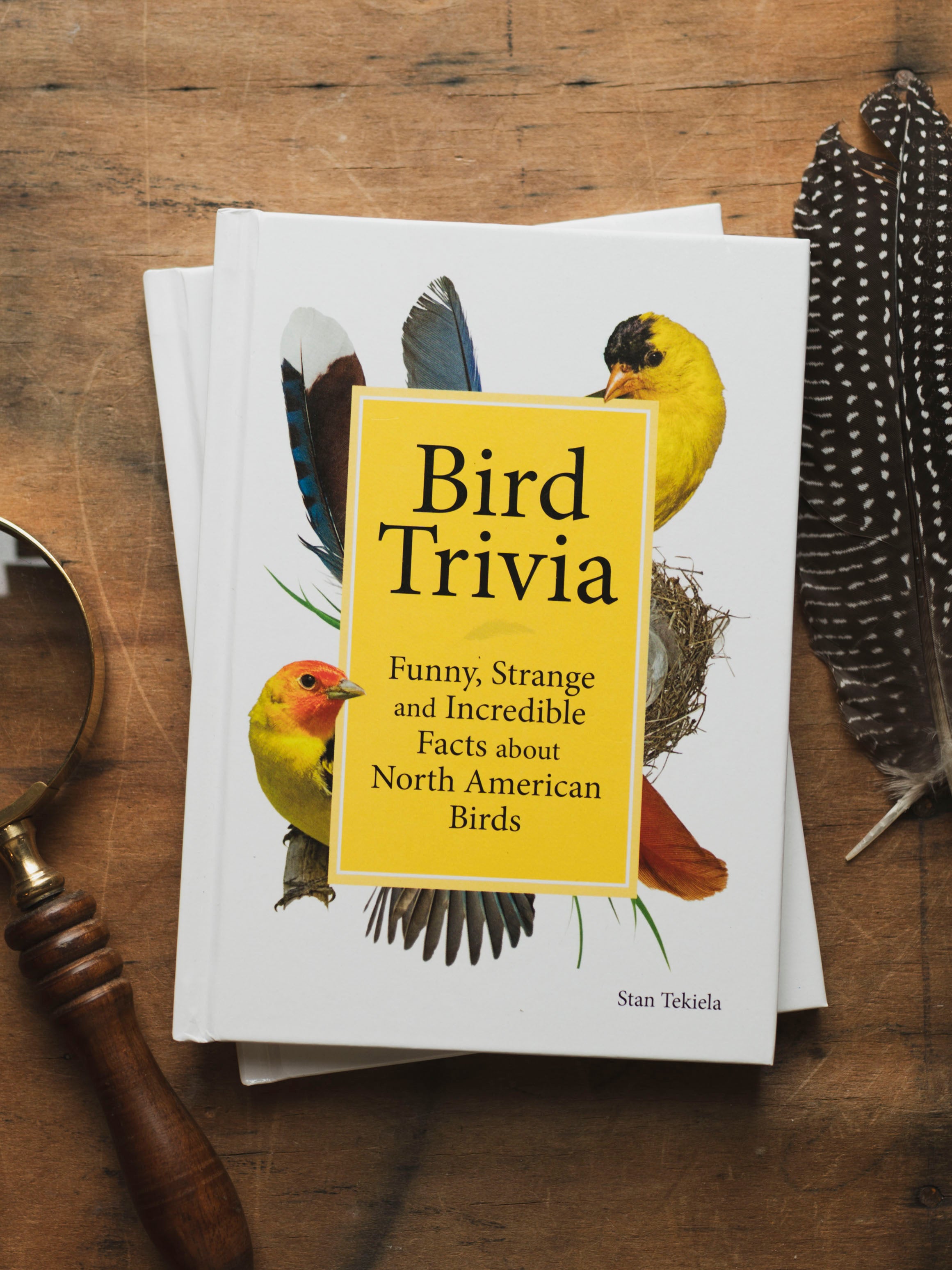 Bird Trivia, BO210
