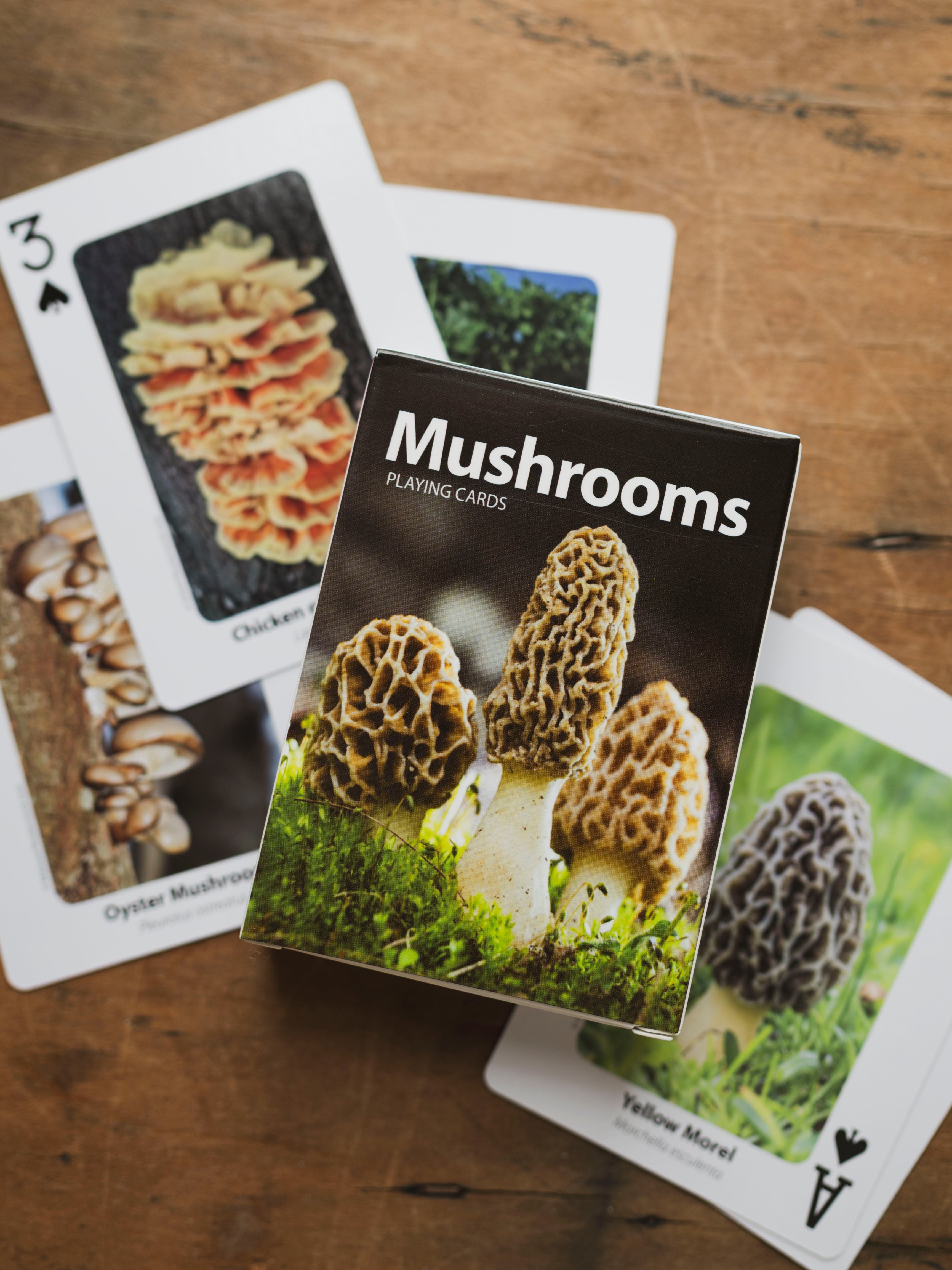 Playing Cards, BO106