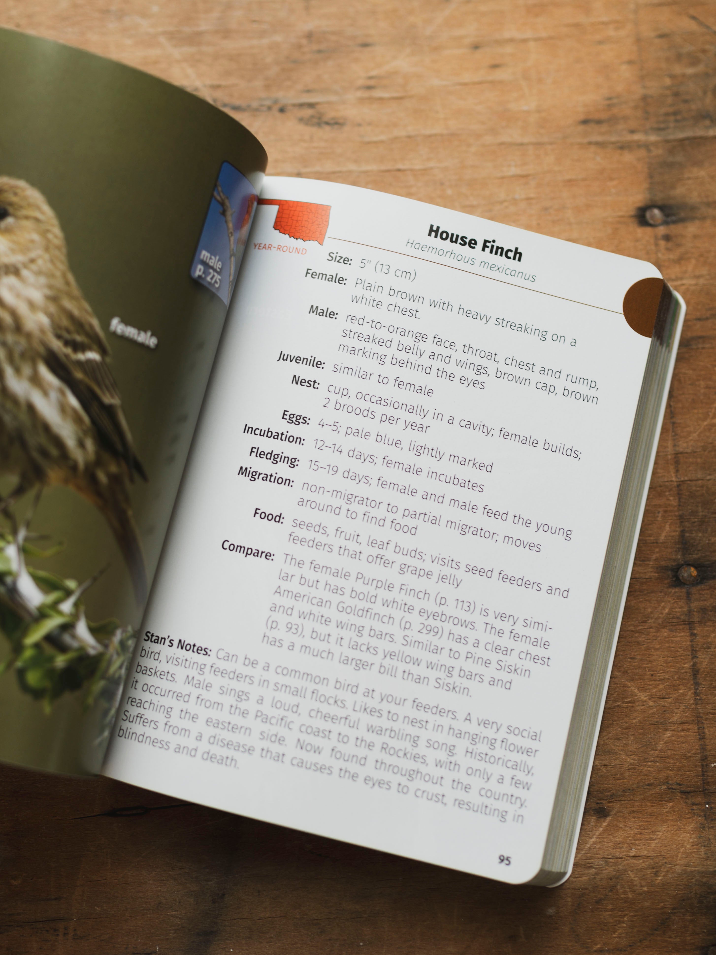 Birds of Oklahoma Field Guide, BO211