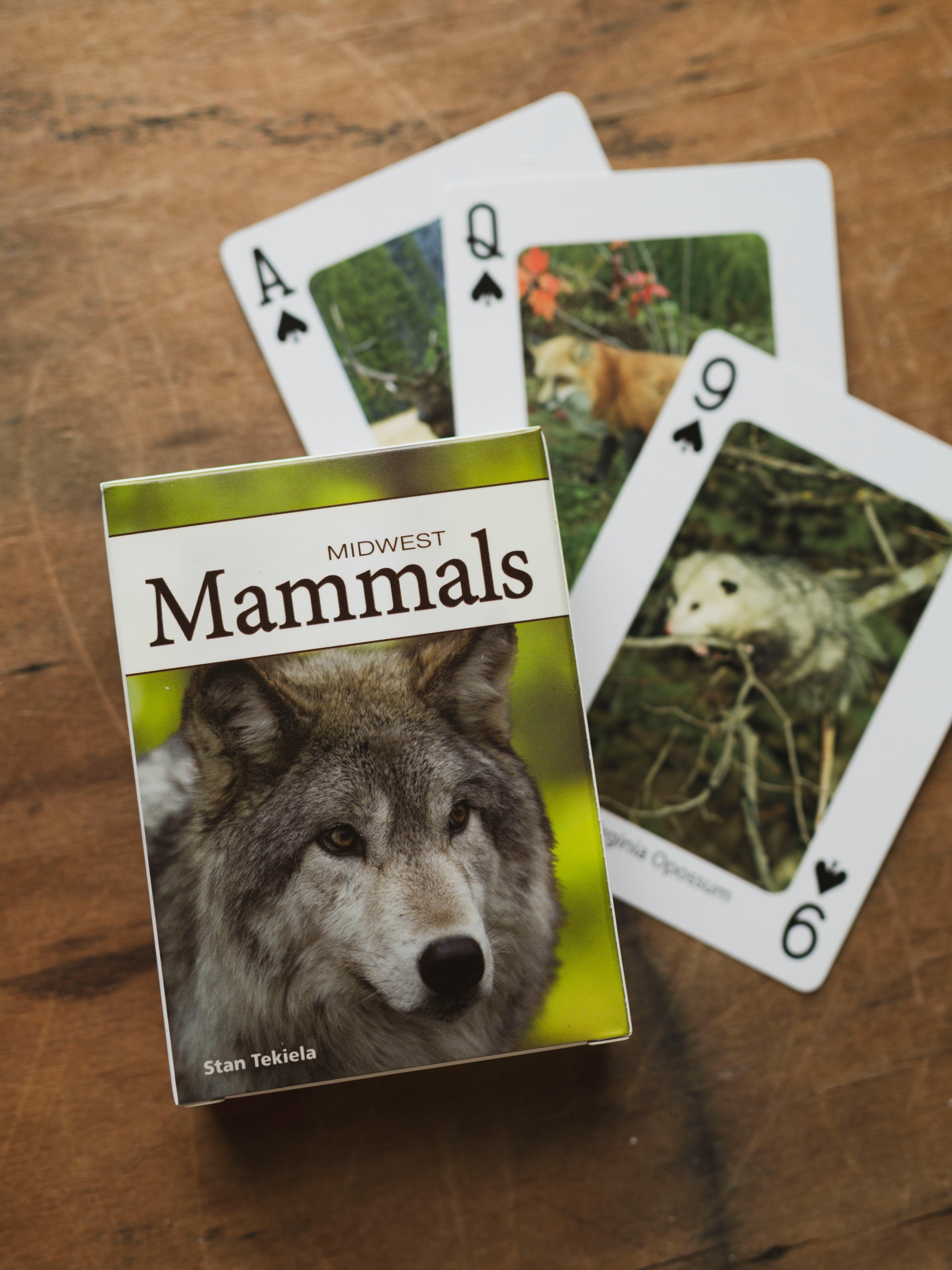 Playing Cards, BO106