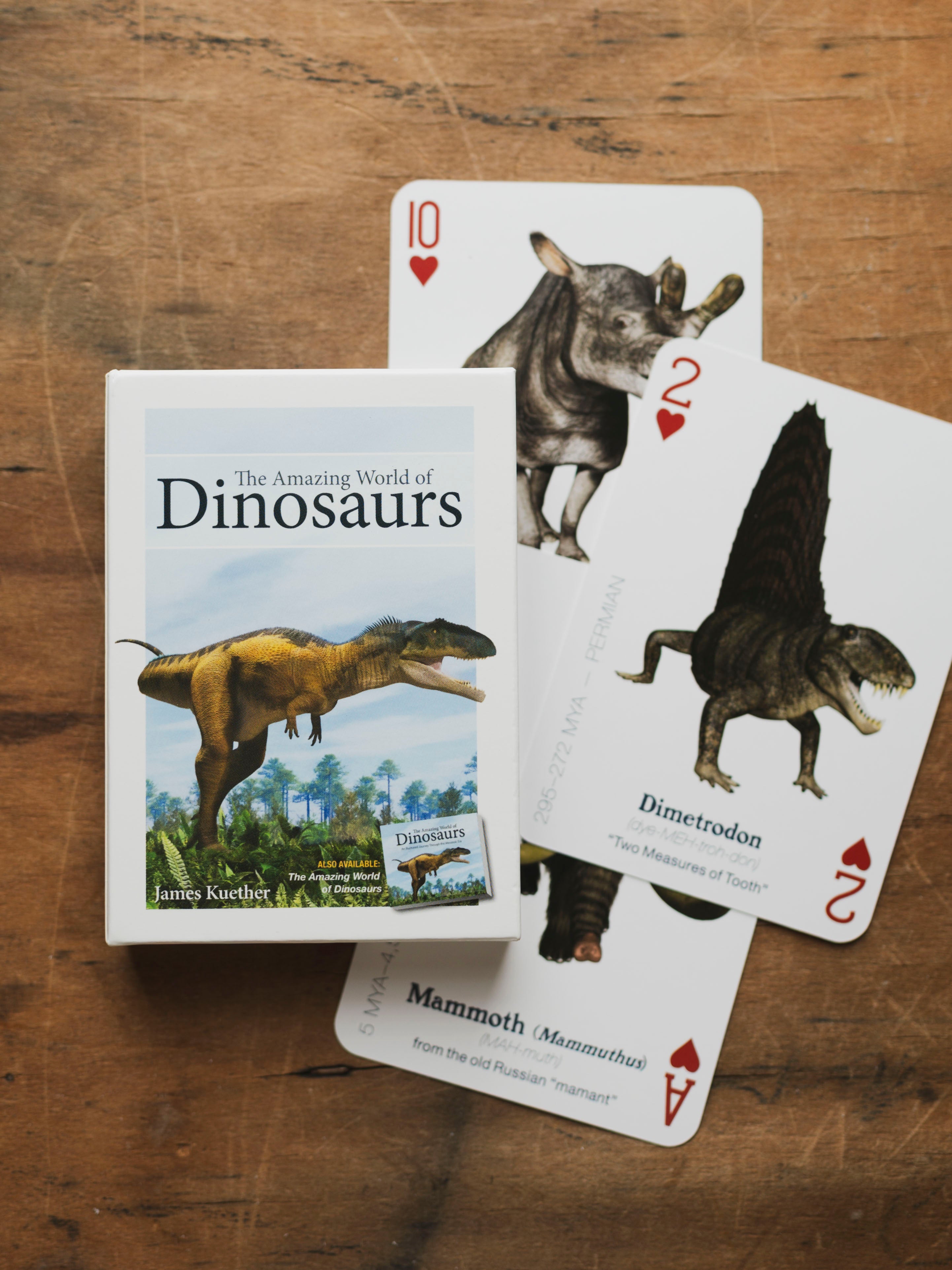 Playing Cards, BO106