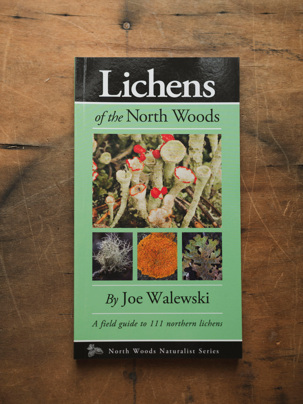 Lichens of the North Woods, BO218