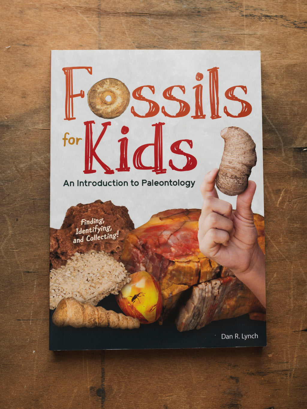 Fossils for Kids, BO214