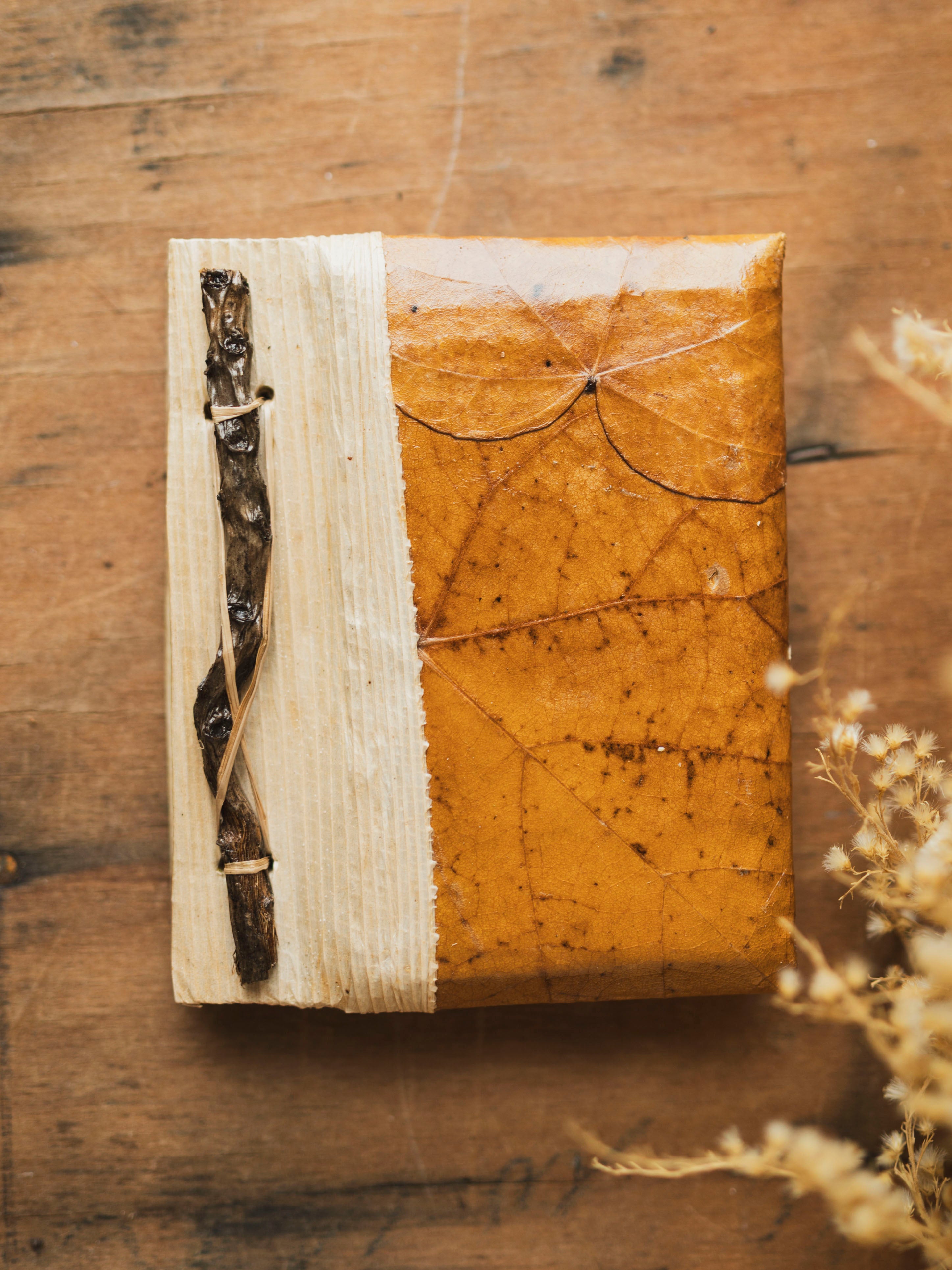 Bamboo and Leaf Notebook, ST80