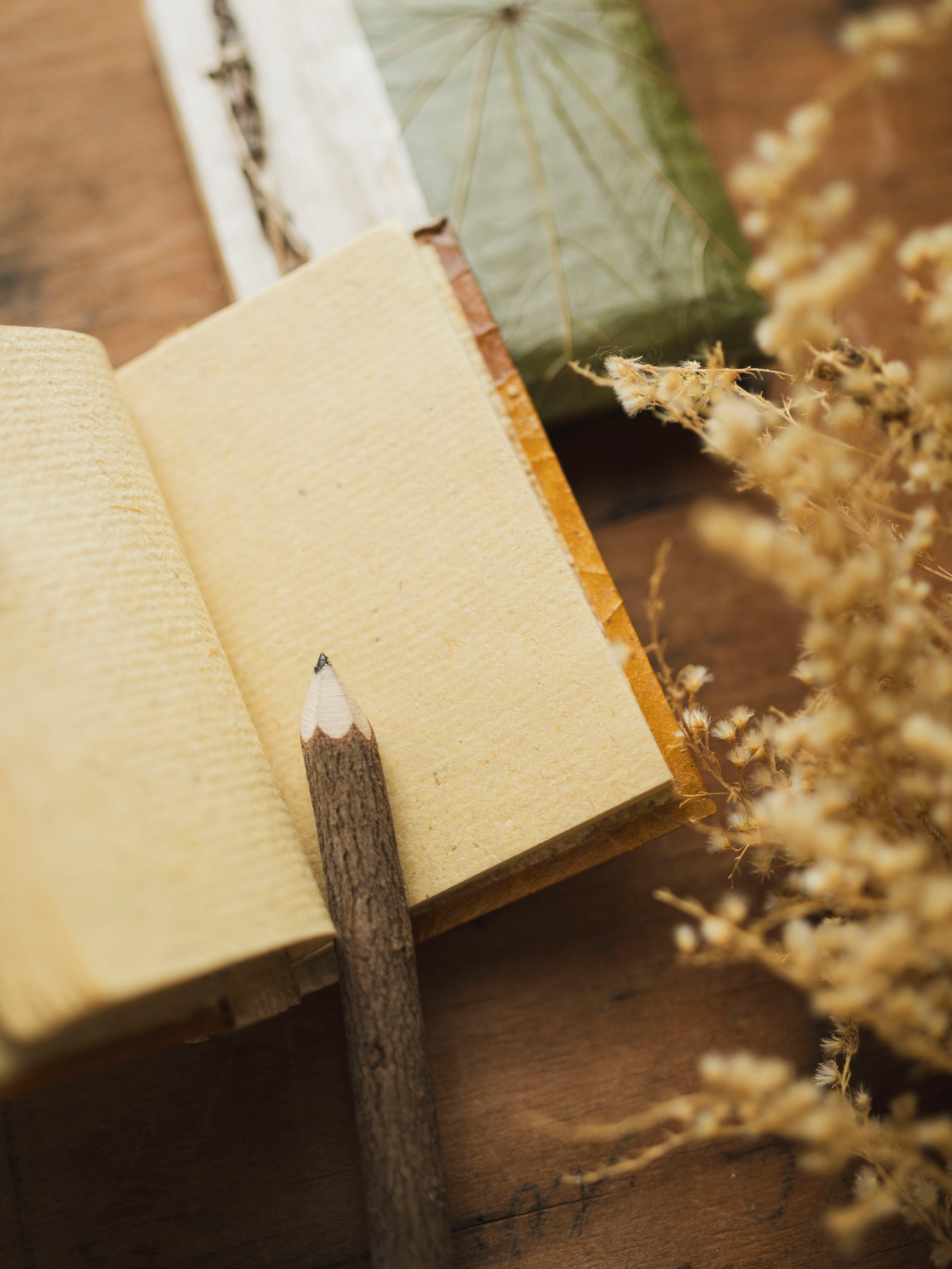 Bamboo and Leaf Notebook, ST80