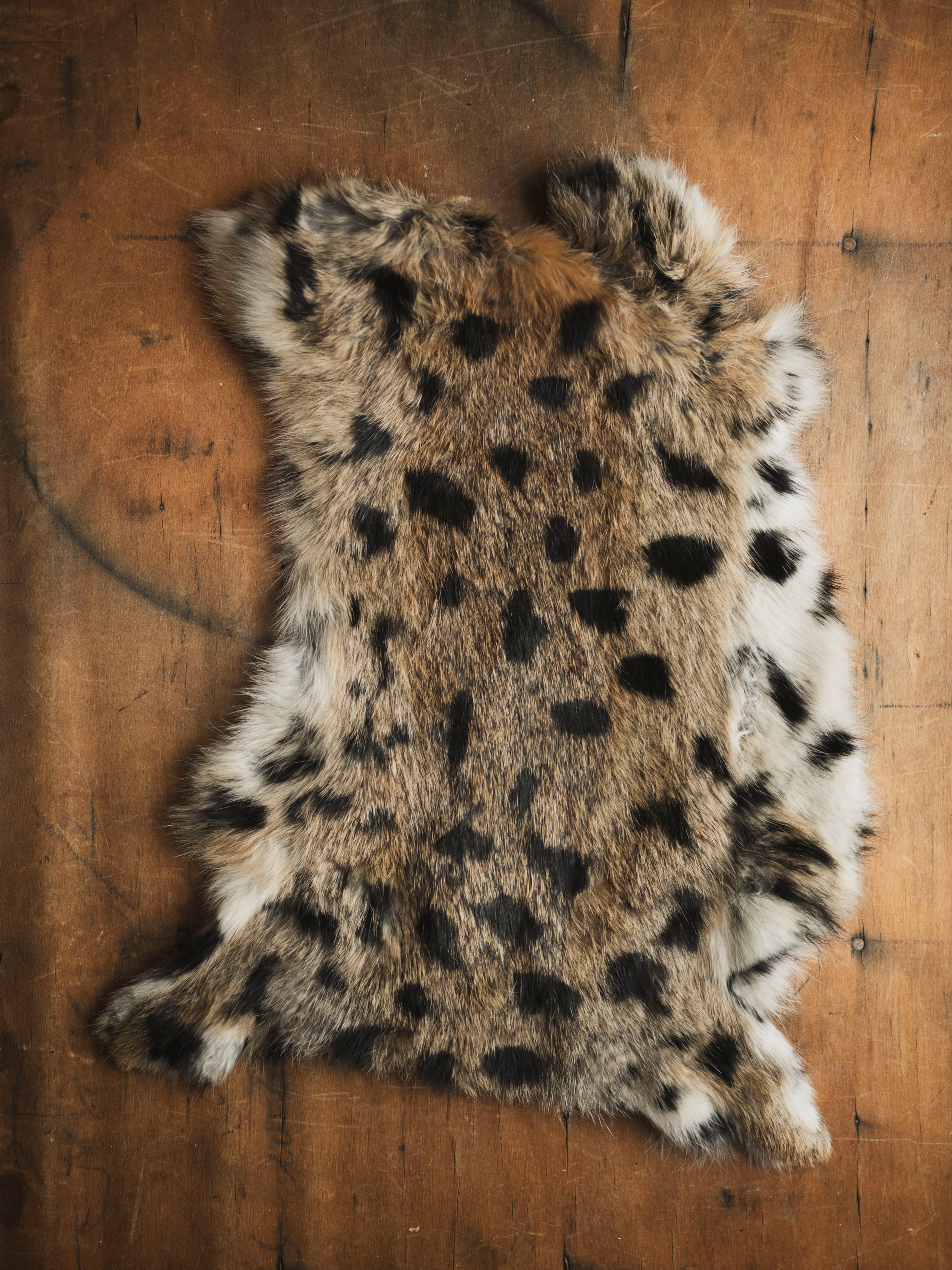 Assorted Painted Rabbit Pelt, TA389