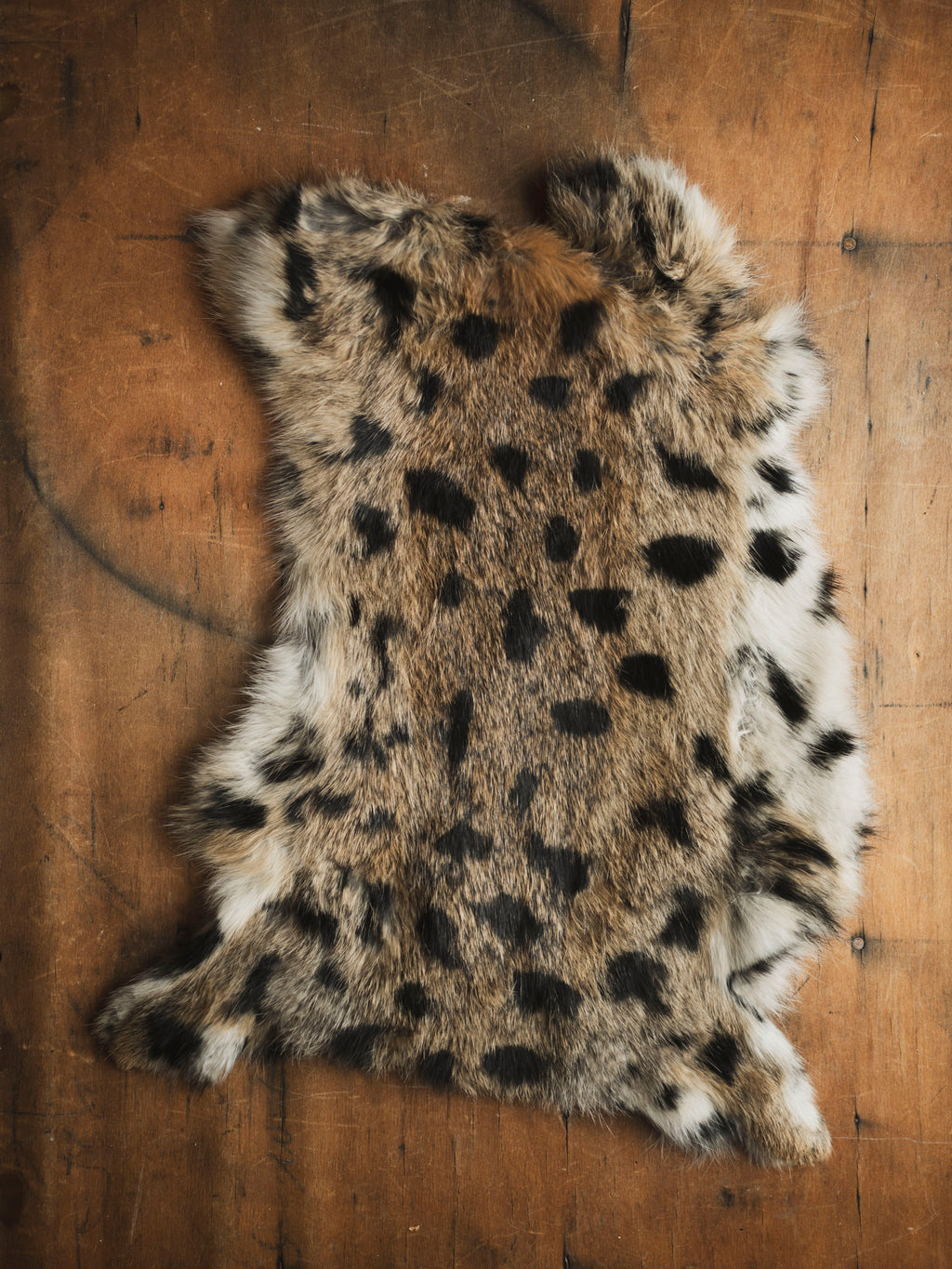Assorted Painted Rabbit Pelt, TA389