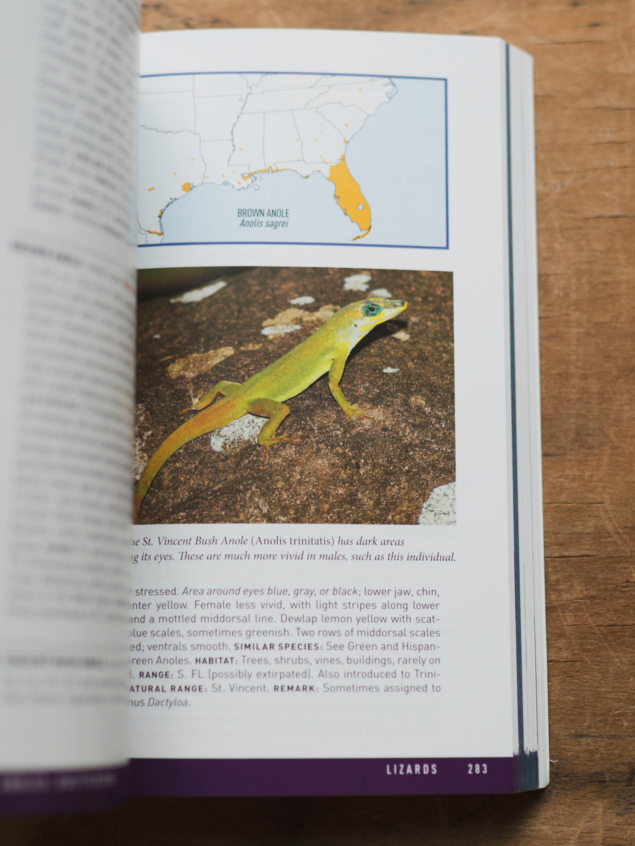 Peterson Field Guide to Reptiles and Amphibians, BO226