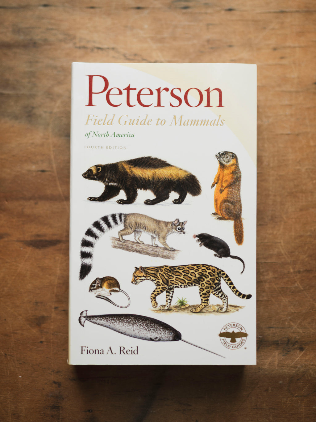 Peterson Field Guide to Mammals of North America, BO227