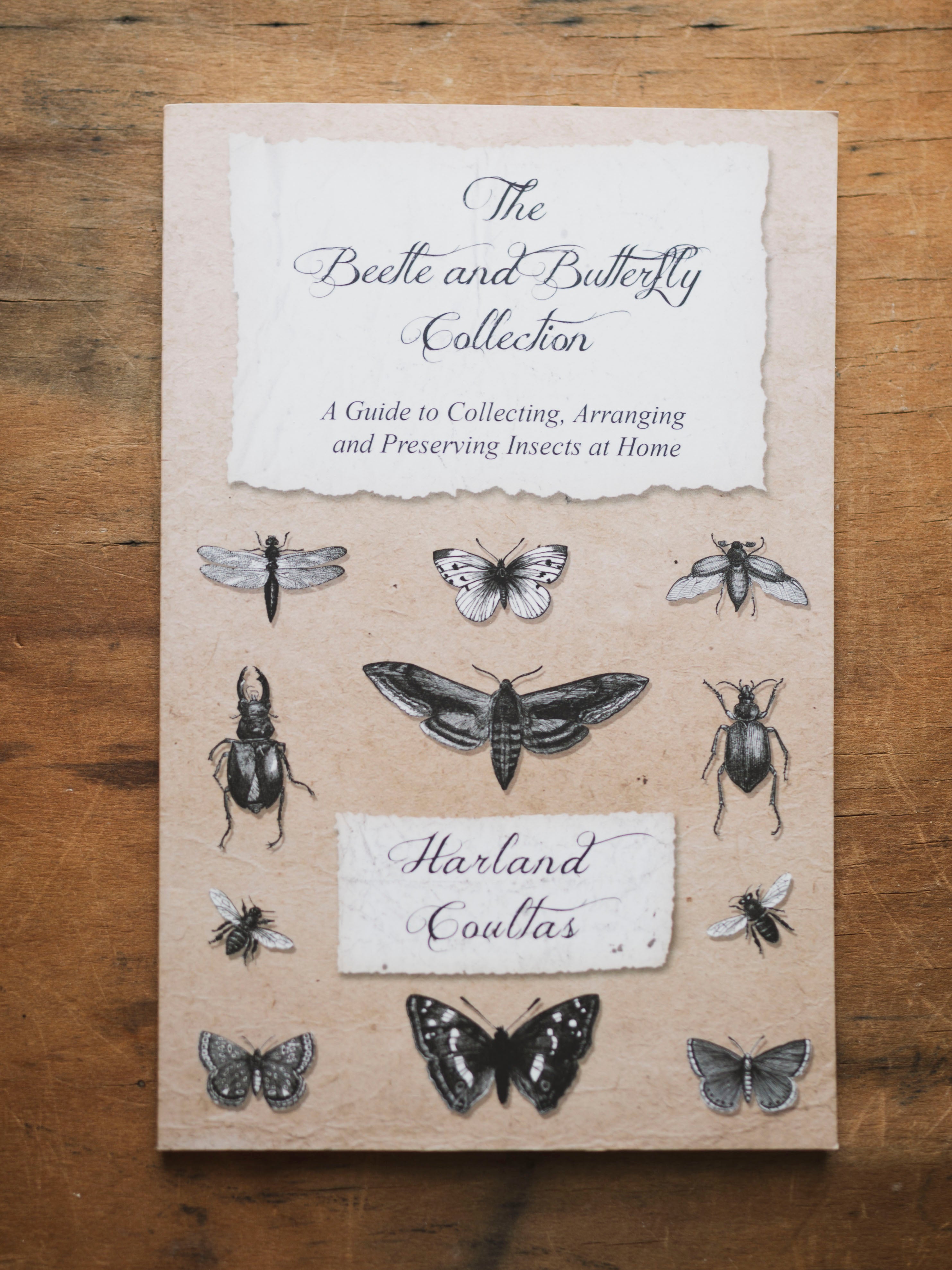 The Beetle and Butterfly Collection, BO223