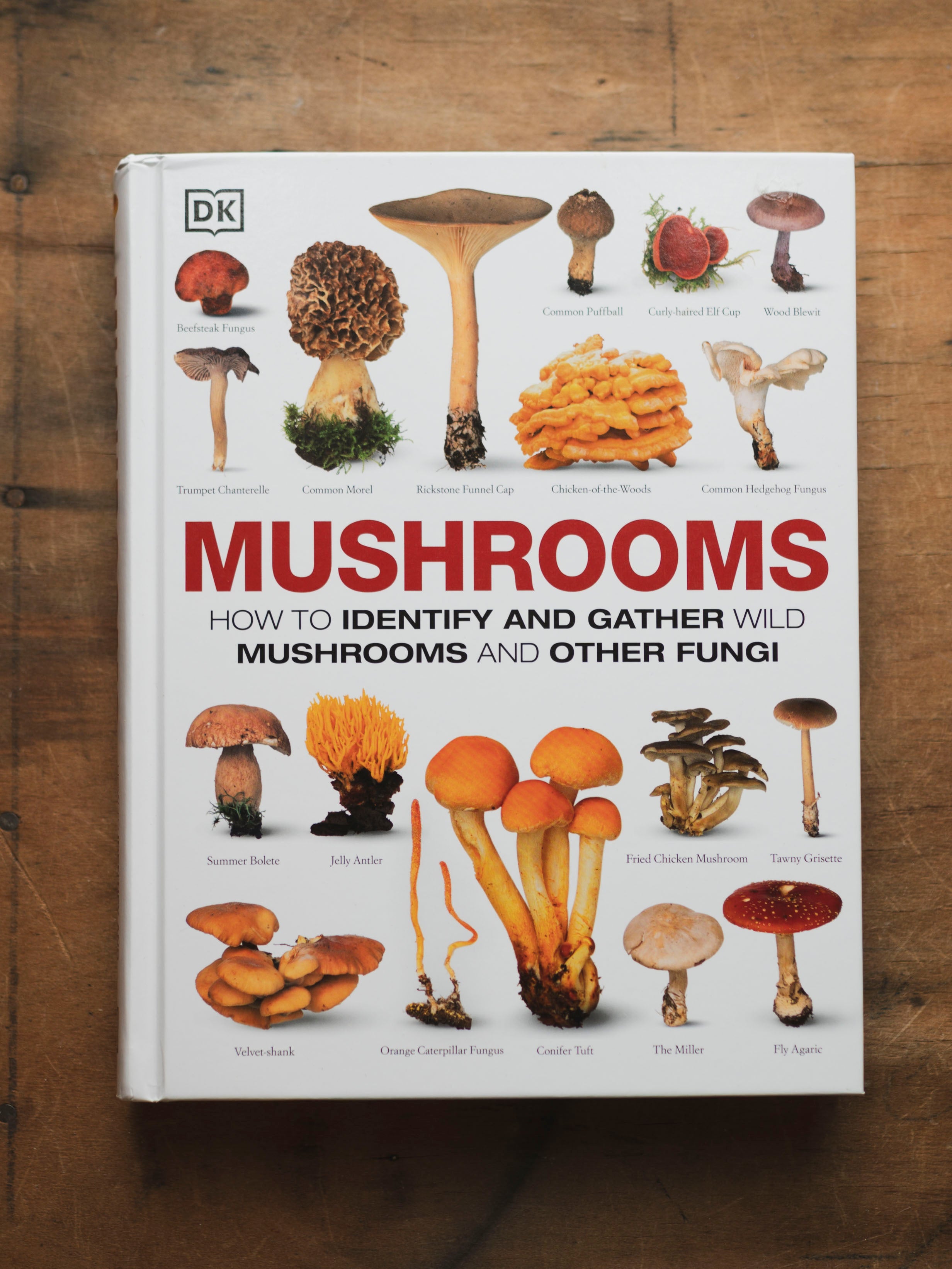 Mushrooms: How to Identify and Gather Wild Mushrooms and Other Fungi, BO163