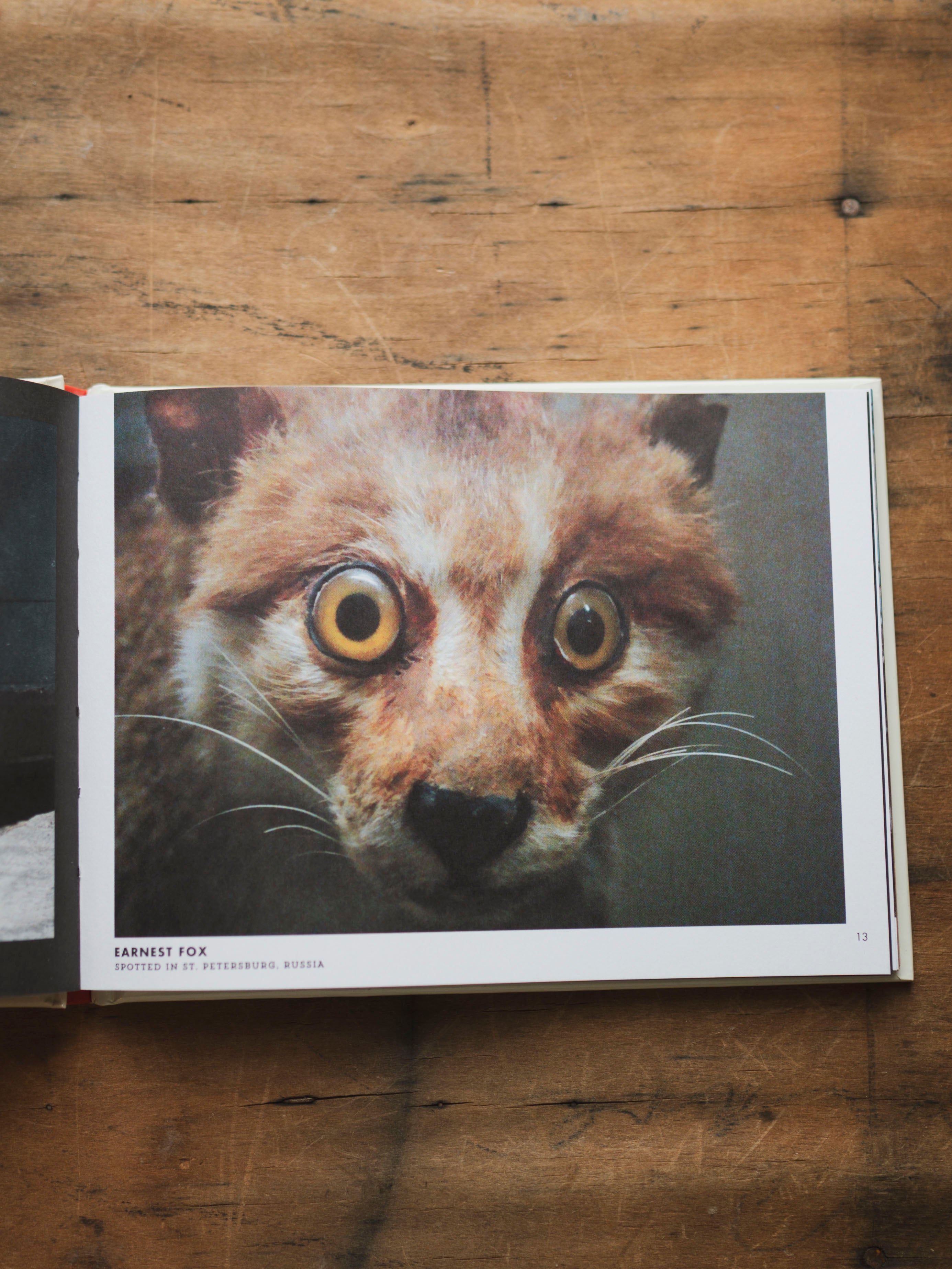 Crap Taxidermy, BO228